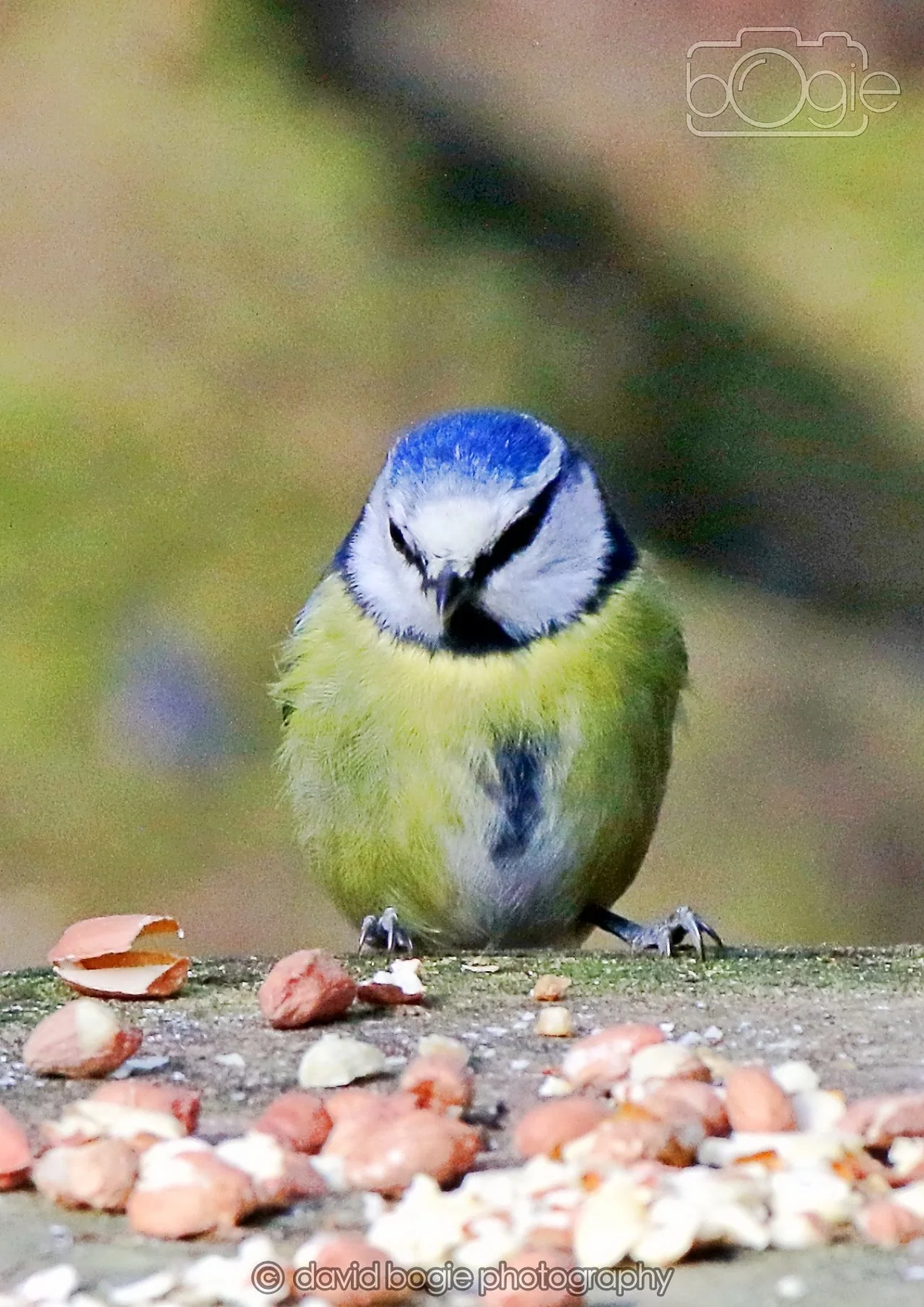 20260322 151122 Dunnikier 0276.jpg