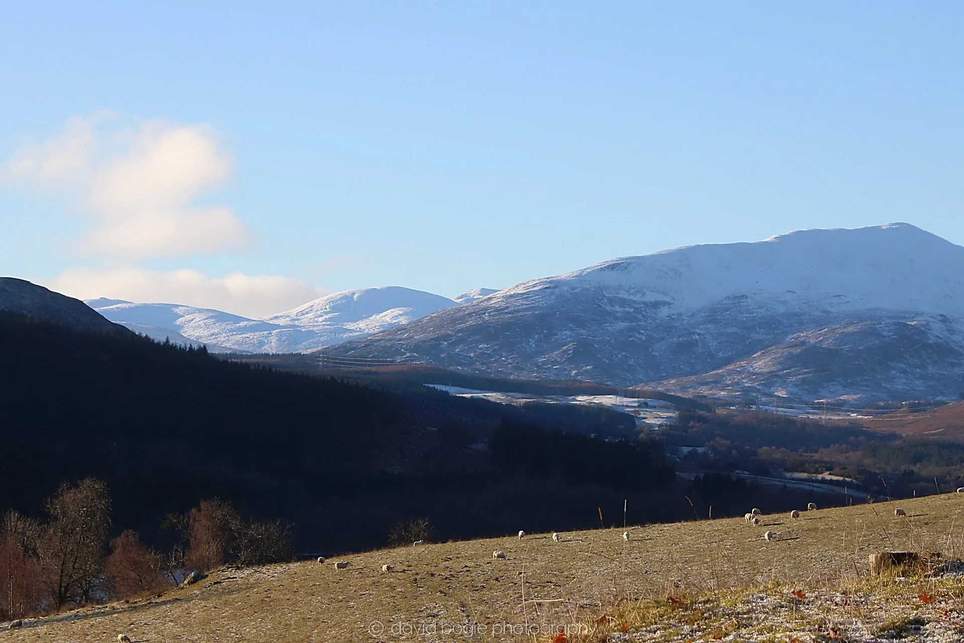 YEAR20221215 00005 Aberfeldy.jpg