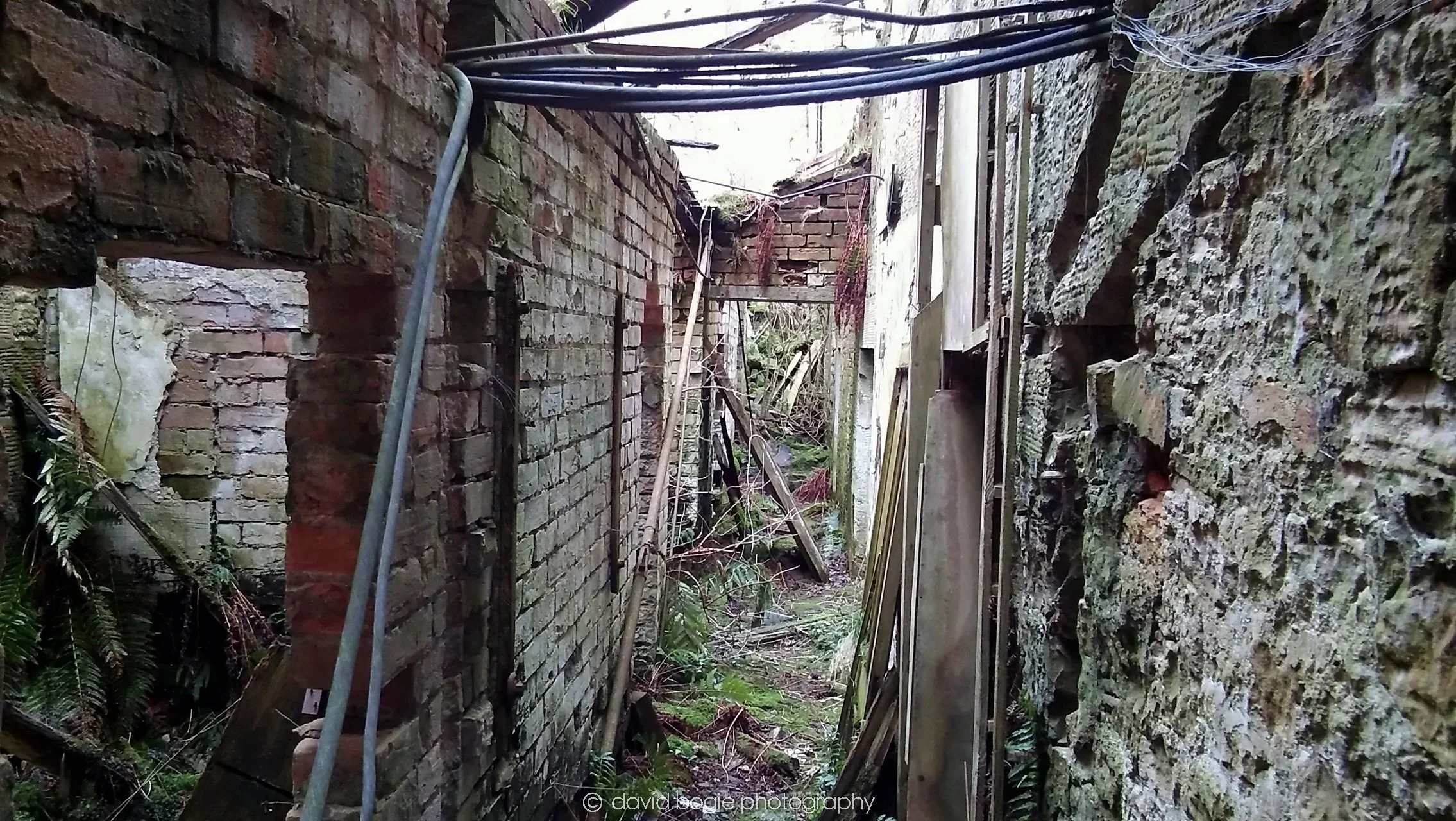 20170308 165503 Crawford Priory 0018.jpg