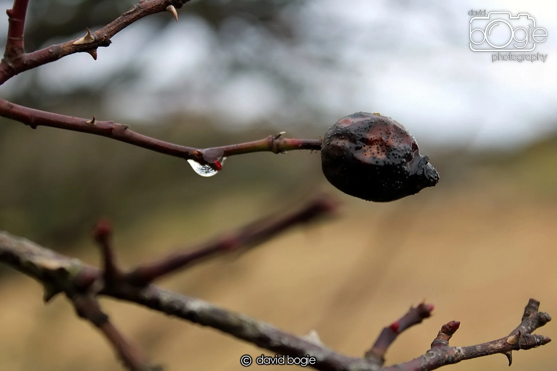 20190207 103900 Kinglassie 0005.JPG