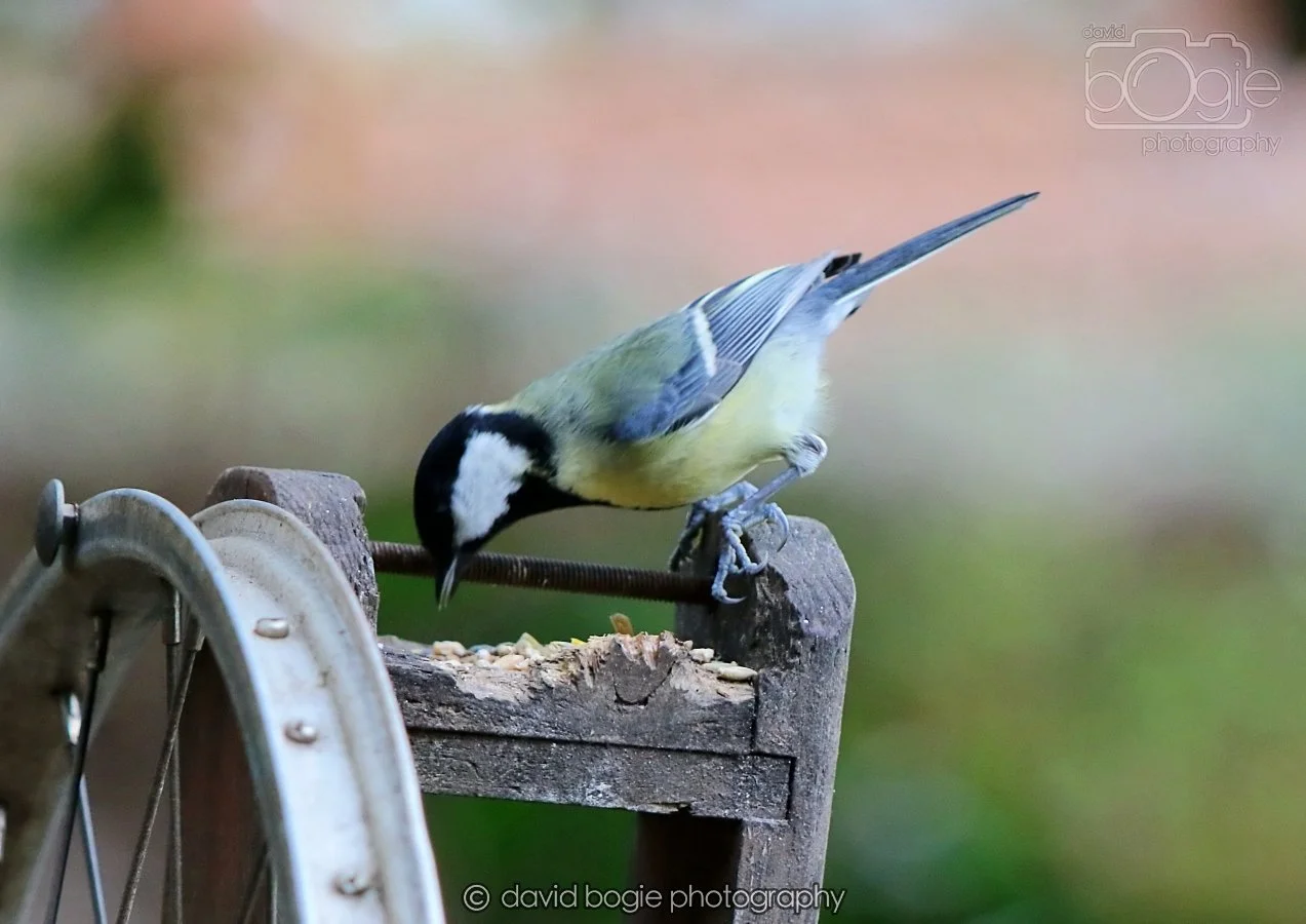 20260215 131508 Silverburn 0053.jpg