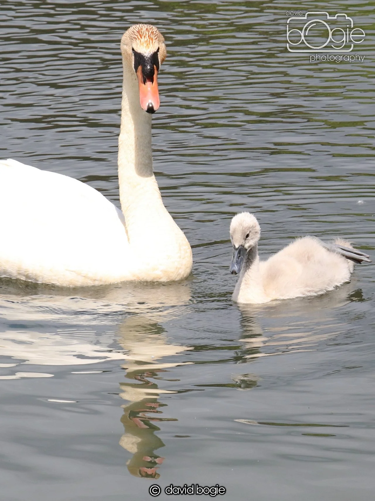 20250613 114241 Beveridge 0019.JPG