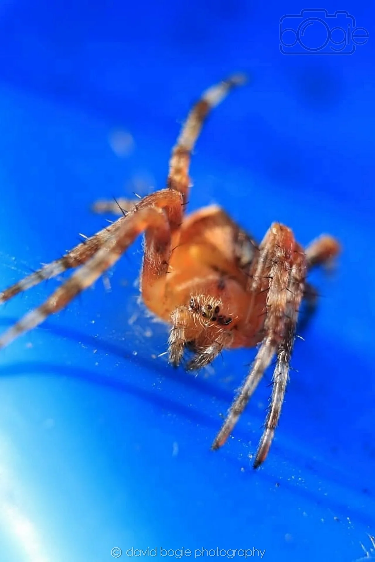 20190702 Cardenden 0001.jpg