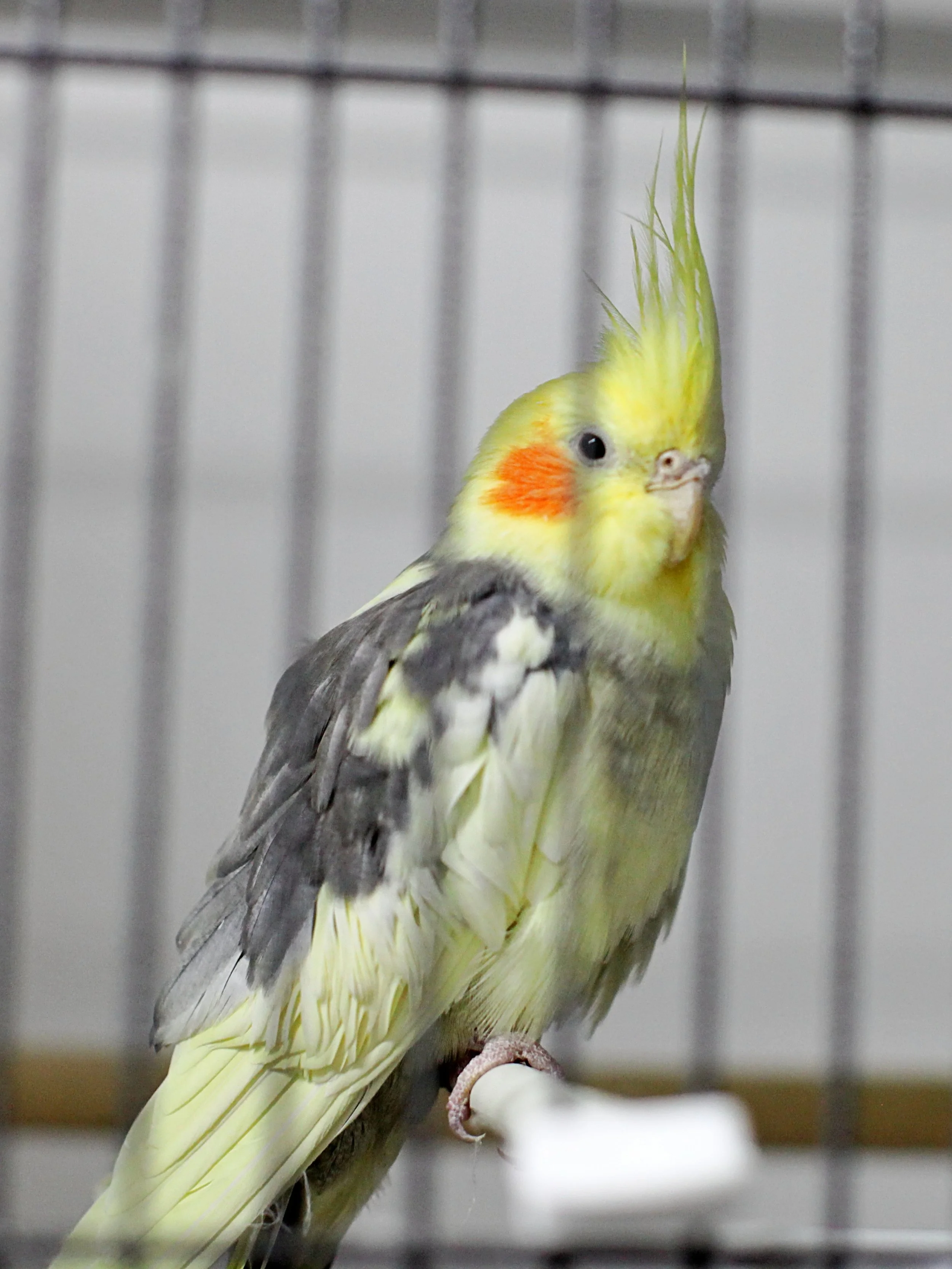 20251117 133017 IMG_0039.JPG