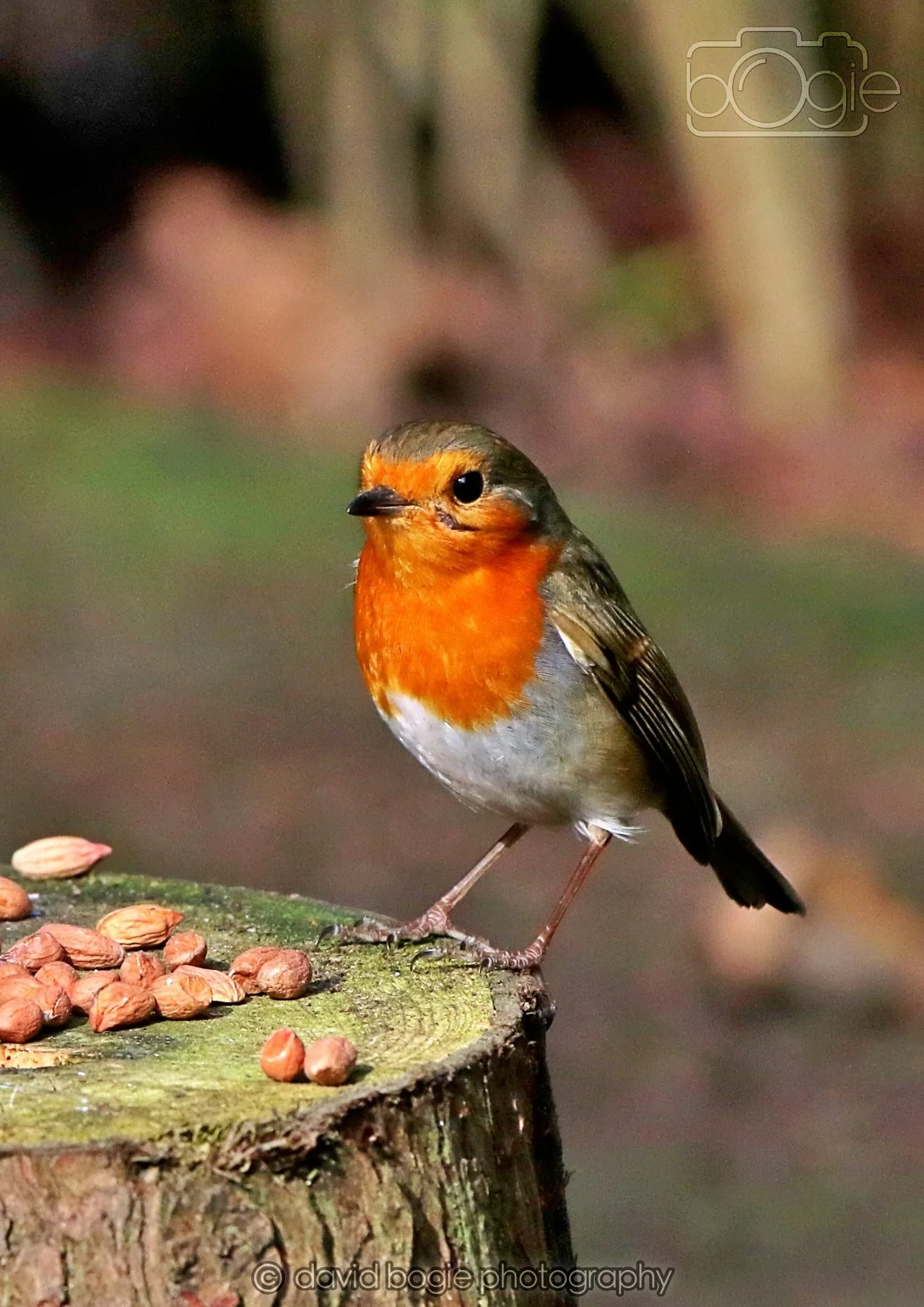 20260322 143327 Dunnikier 0008.jpg