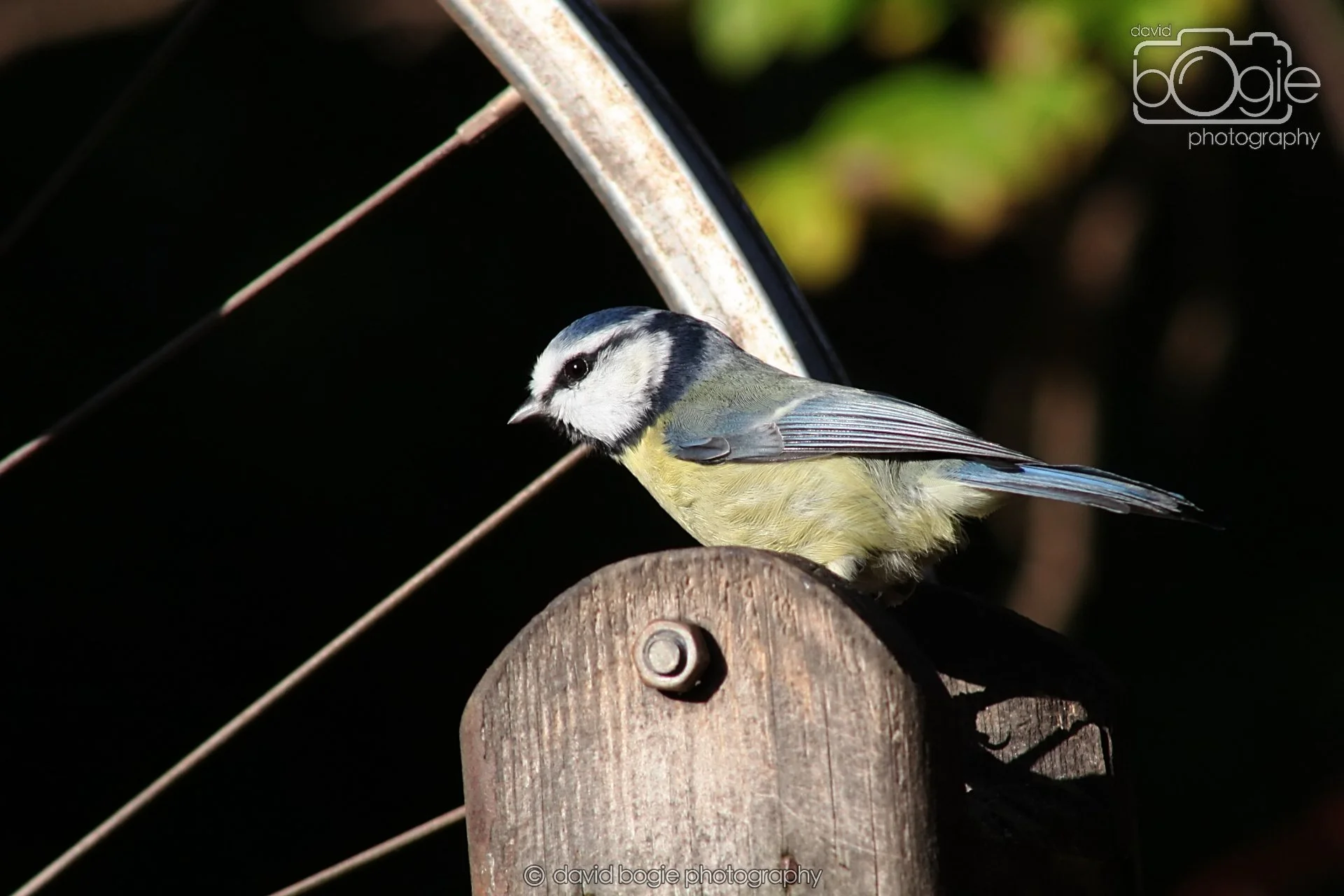 20251125 134252 Silverburn 0159.JPG