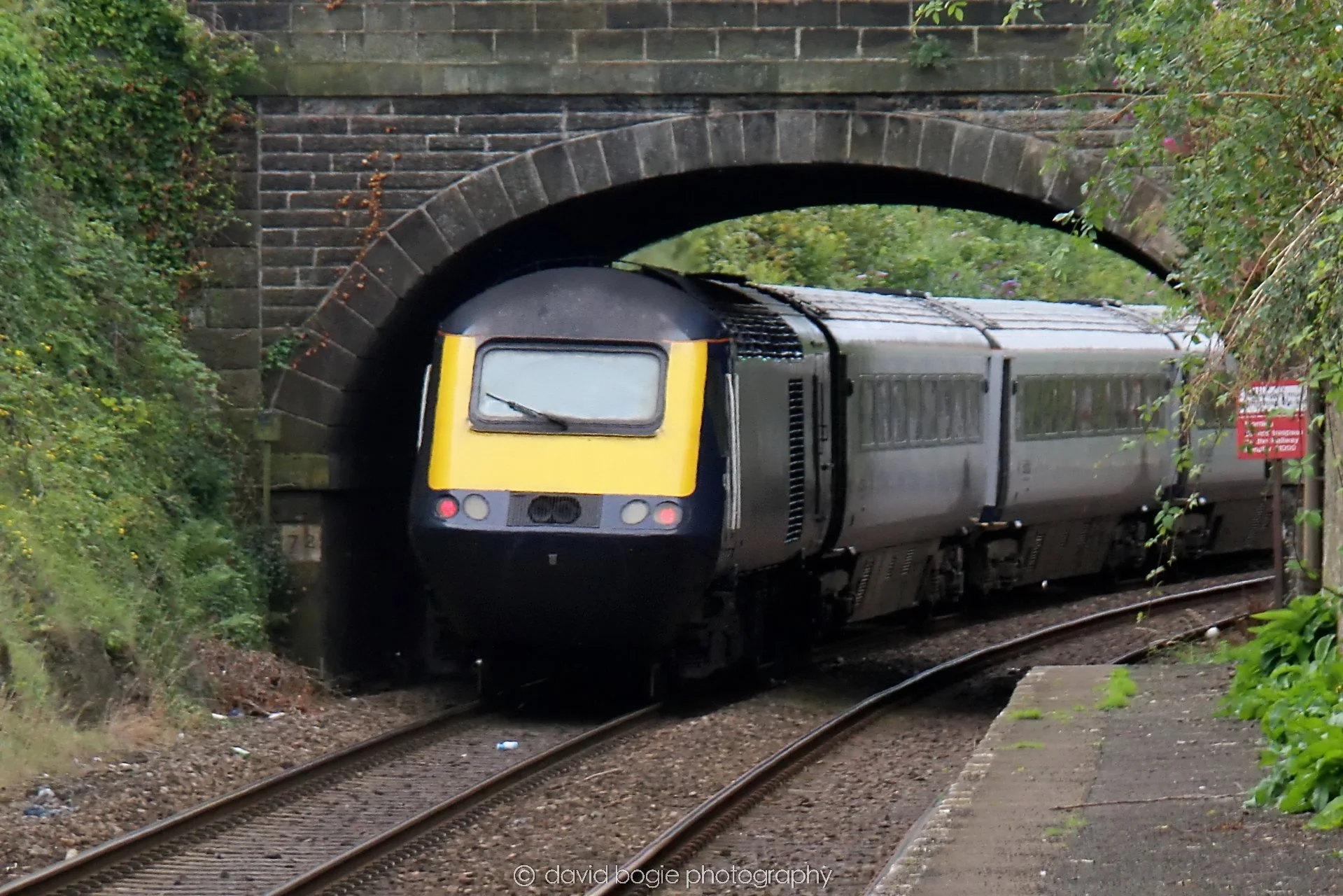 YEAR20230814 Kinghorn 135905 0230.jpg