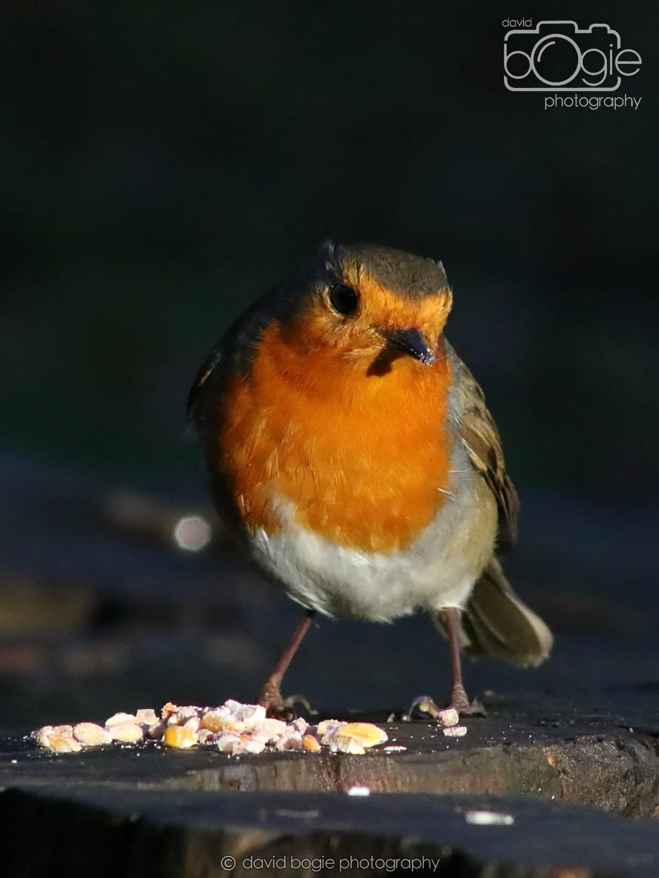 20251125 142726 Silverburn 0707.JPG