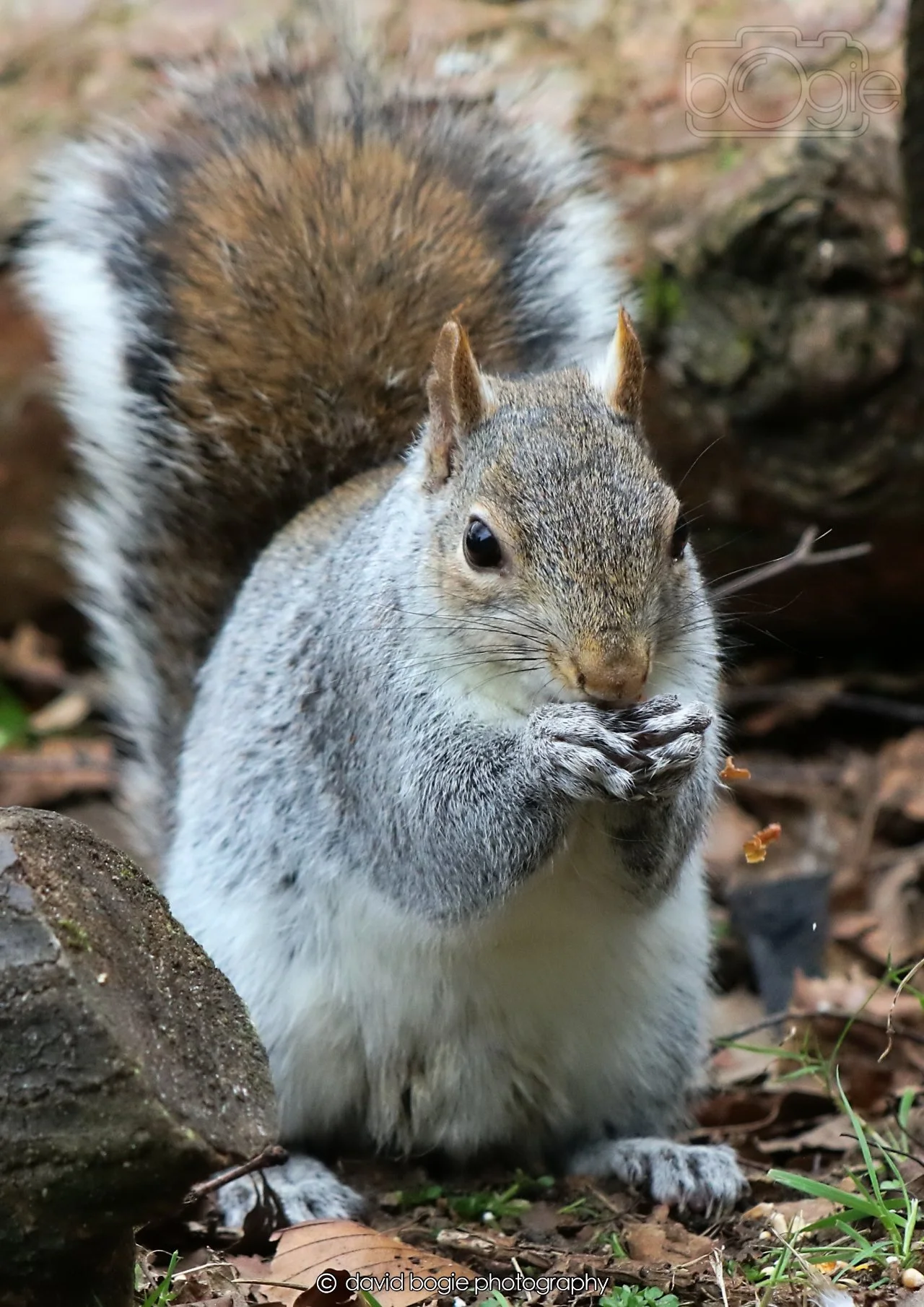 20260326 113657 Silverburn 0231.jpg