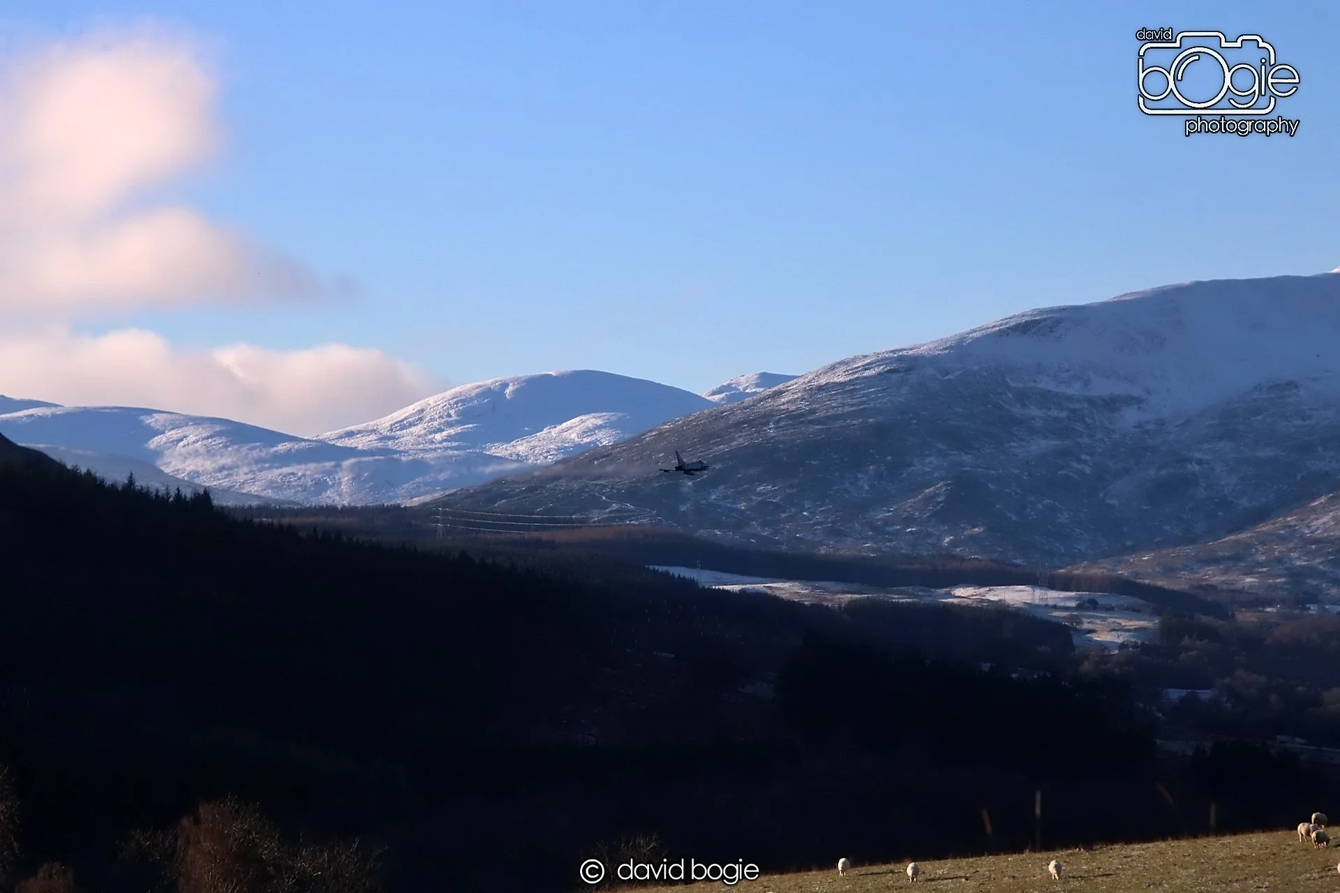 20221215 00015 Aberfeldy.JPG