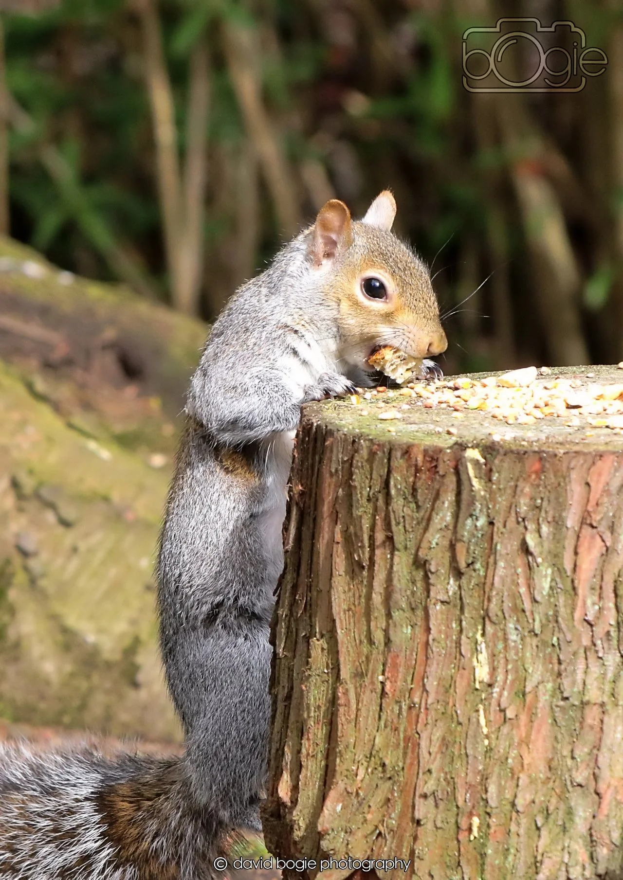 20260330 122128 Dunnikier 0418.jpg