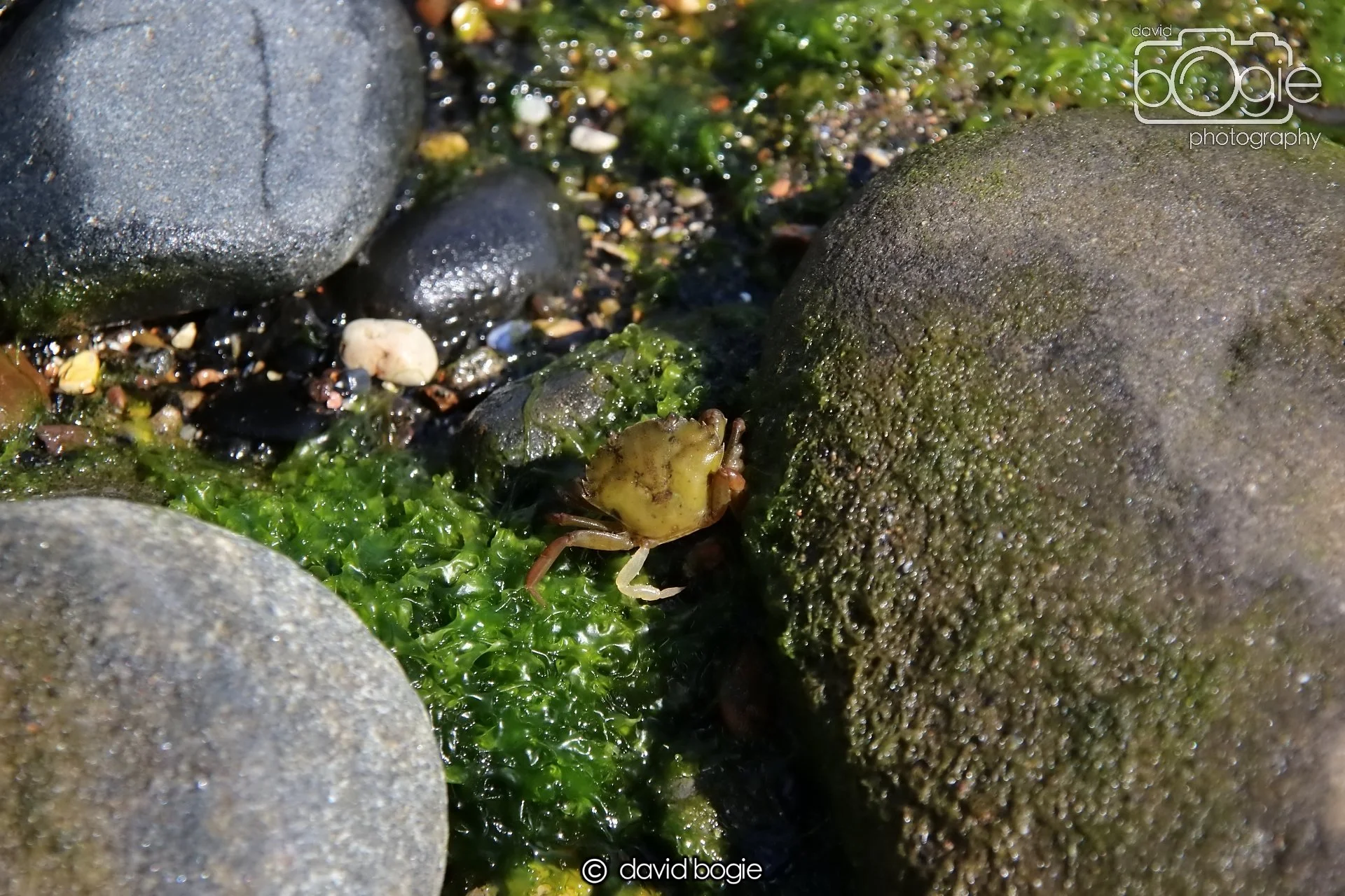 20250812 135510 Dysart 0033.JPG