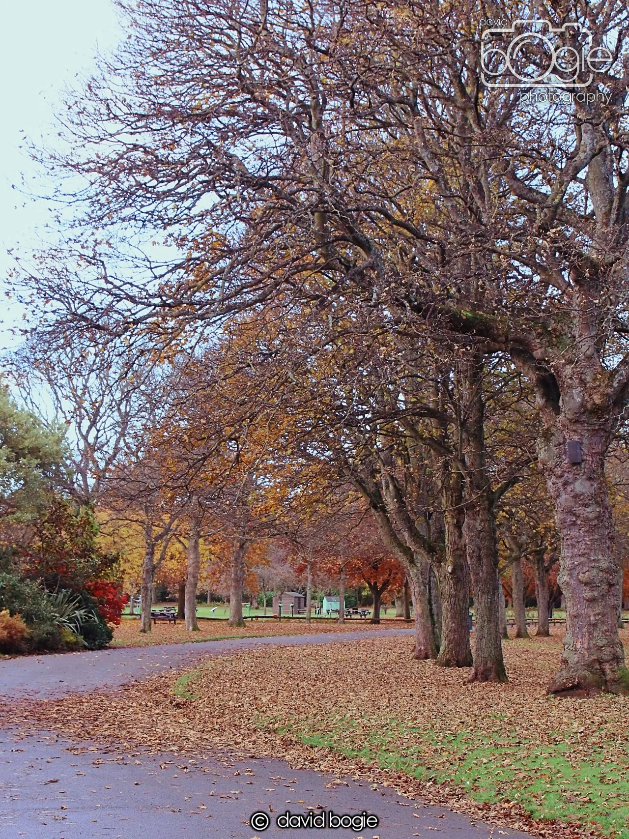 20231107 Beveridge Park 0225.jpg