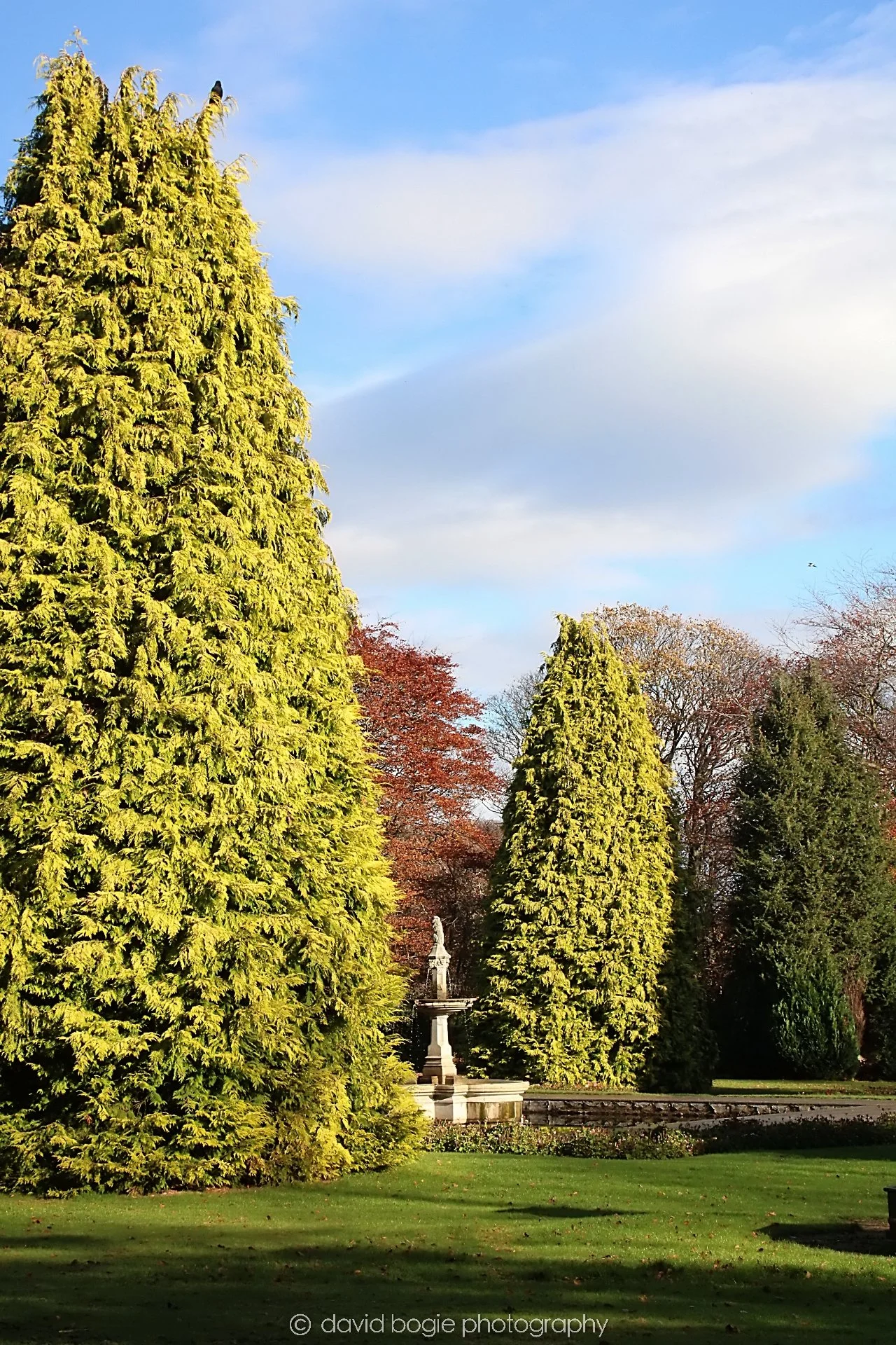 YEAR20231107 Beveridge Park 0379.jpg