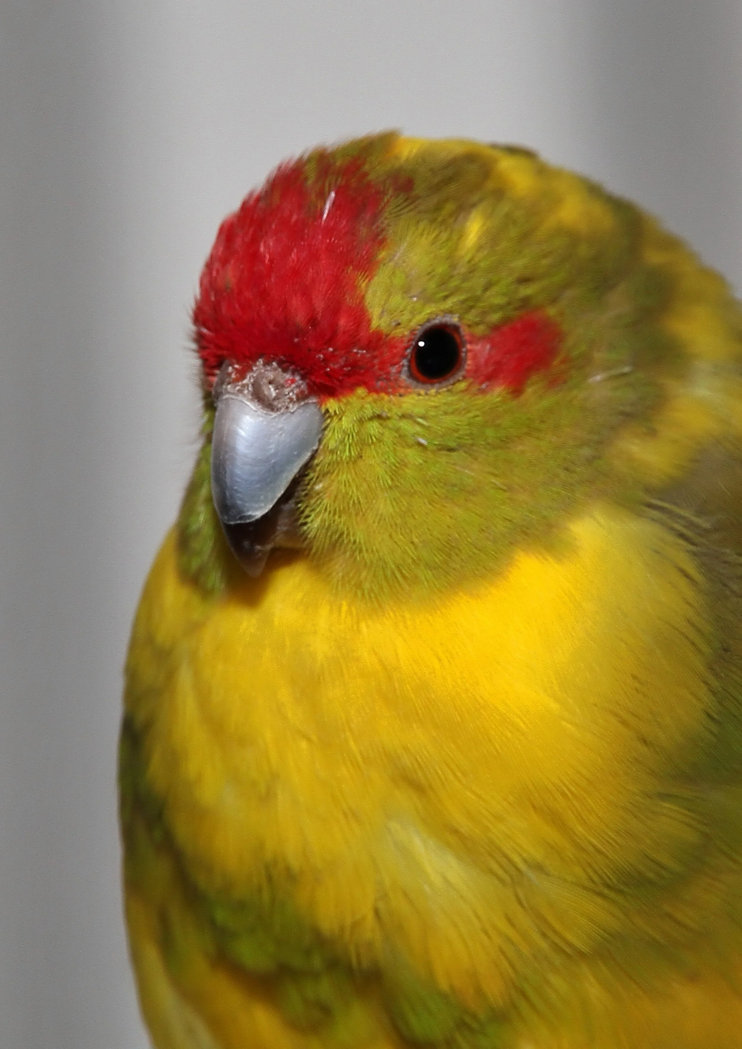 20260331 104043 K&S 0295.jpg