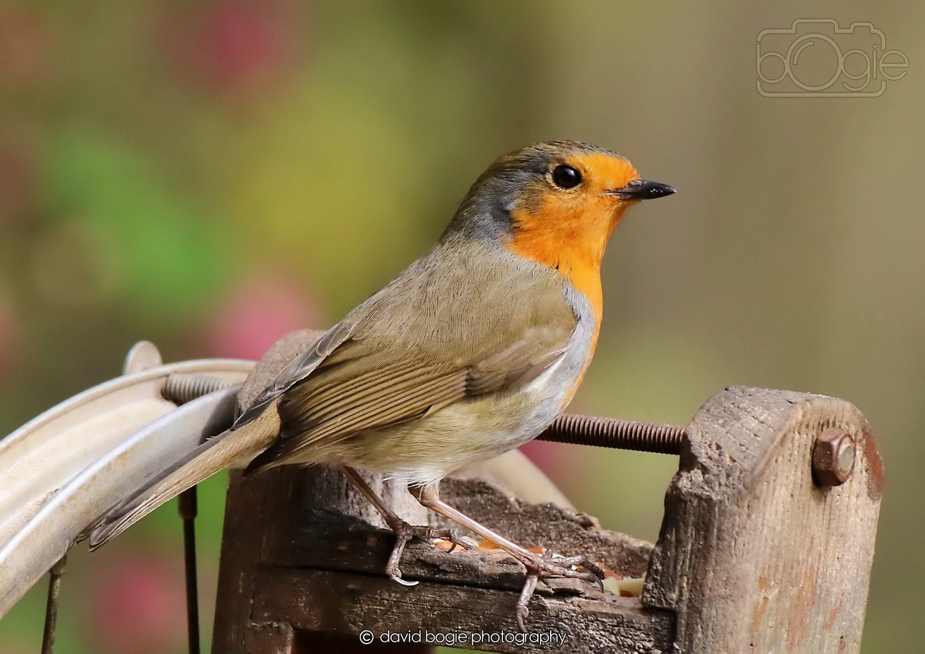 20260326 120856 Silverburn 0440.jpg