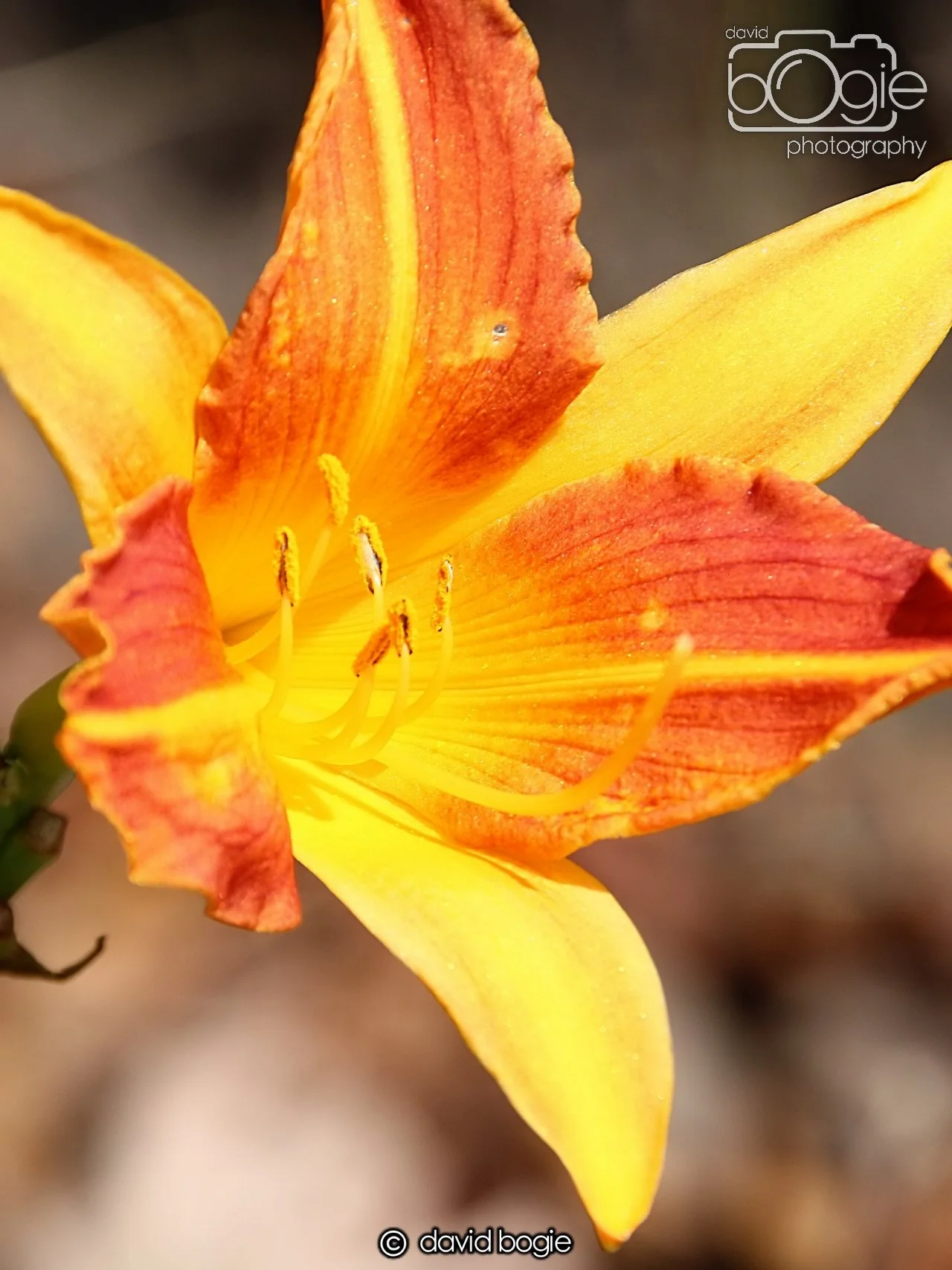 20240722 121834 Beveridge 0101.JPG