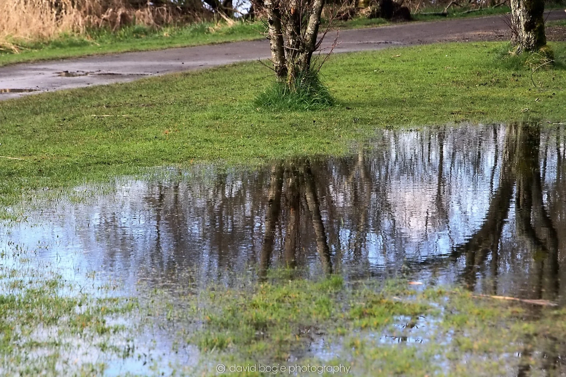 YEAR20240404 093451 Lochore 0008.jpg