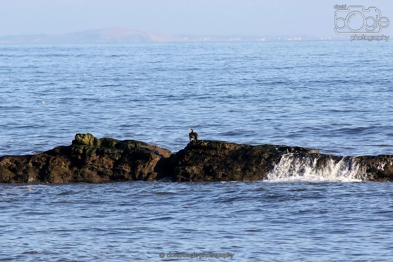 20260119 124256 IMG_0015.JPG