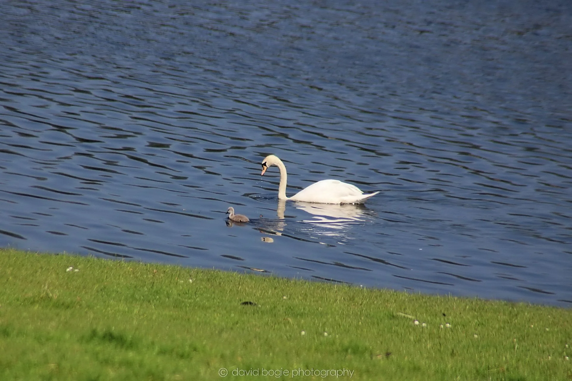 20210530 Lochore 13.jpg