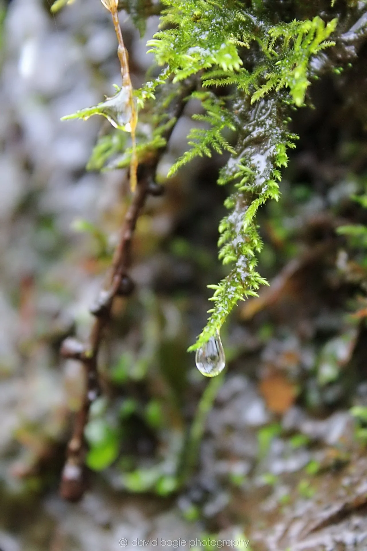20190219 103450 Glenfarg 0001.jpg