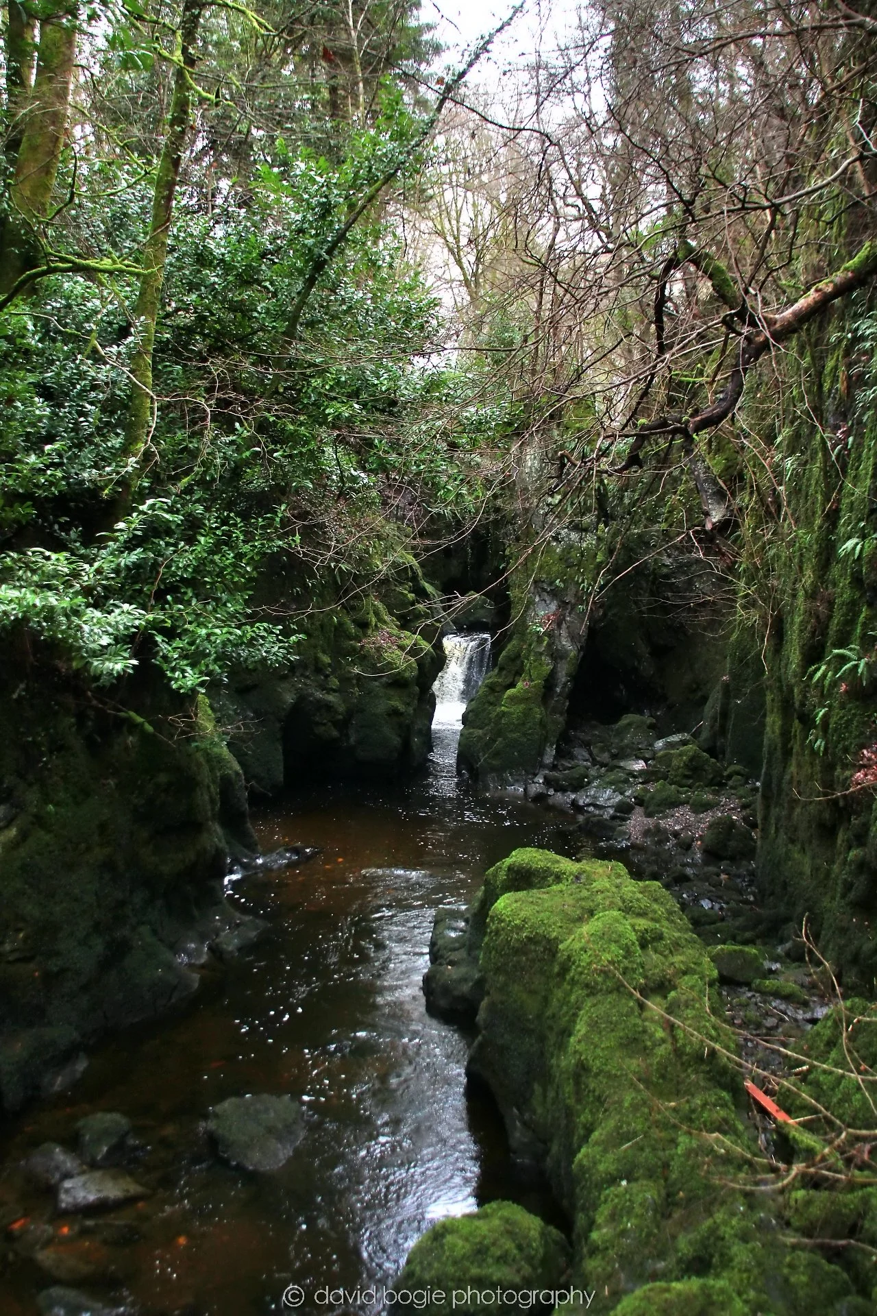 YEAR20250114 142712 Rumbling Bridge 0107.jpg