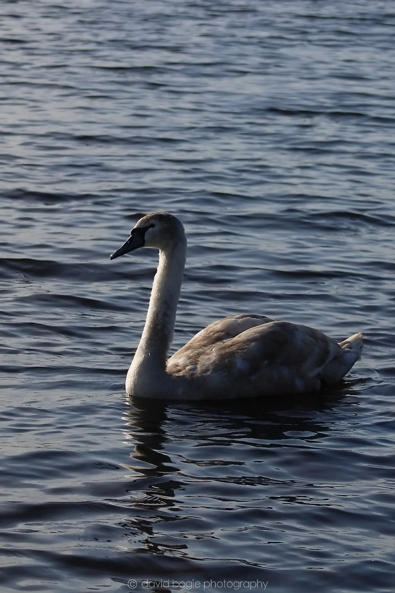 20210222 Lochore (9).jpg