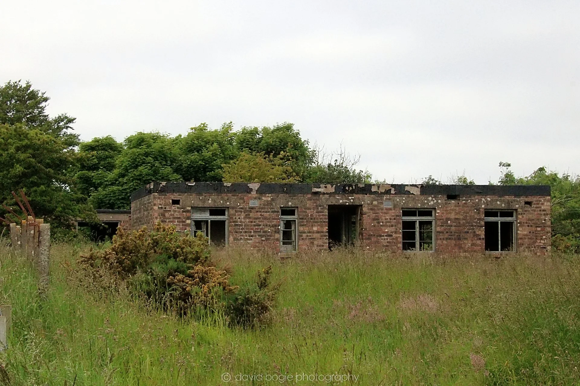 20210629 123327 Fife 0016.jpg