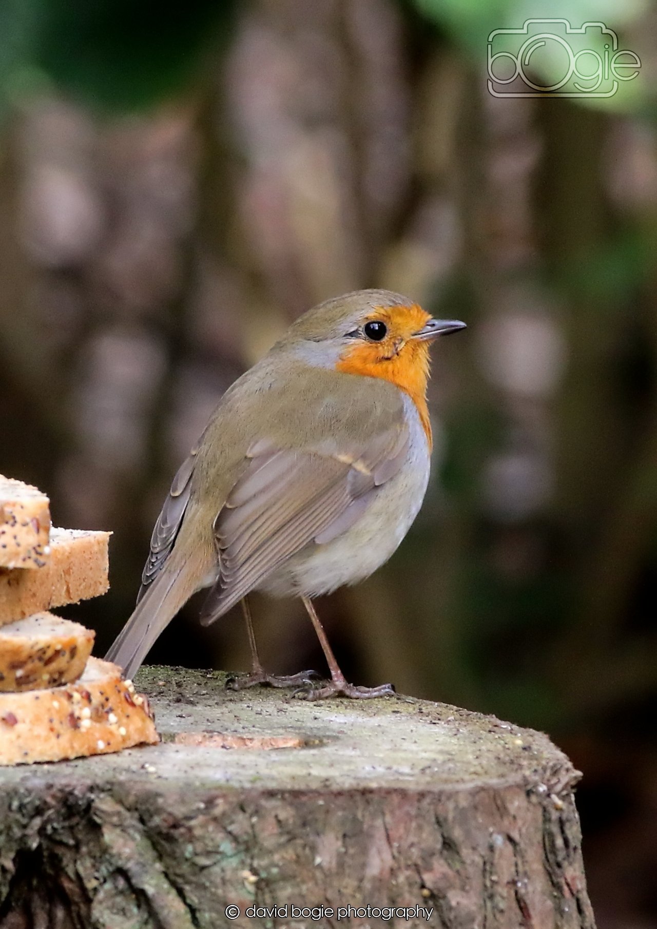 20260330 111251 Dunnikier 0039.jpg