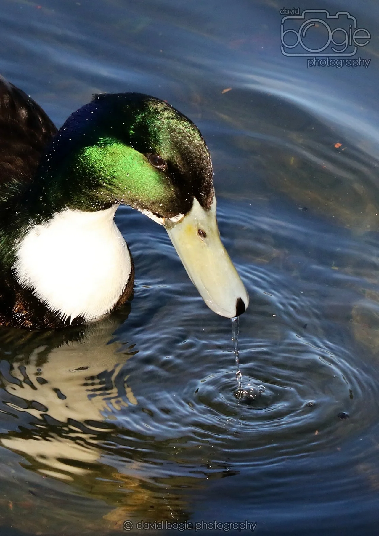 20260319 112854 Beveridge Park 0040.jpg