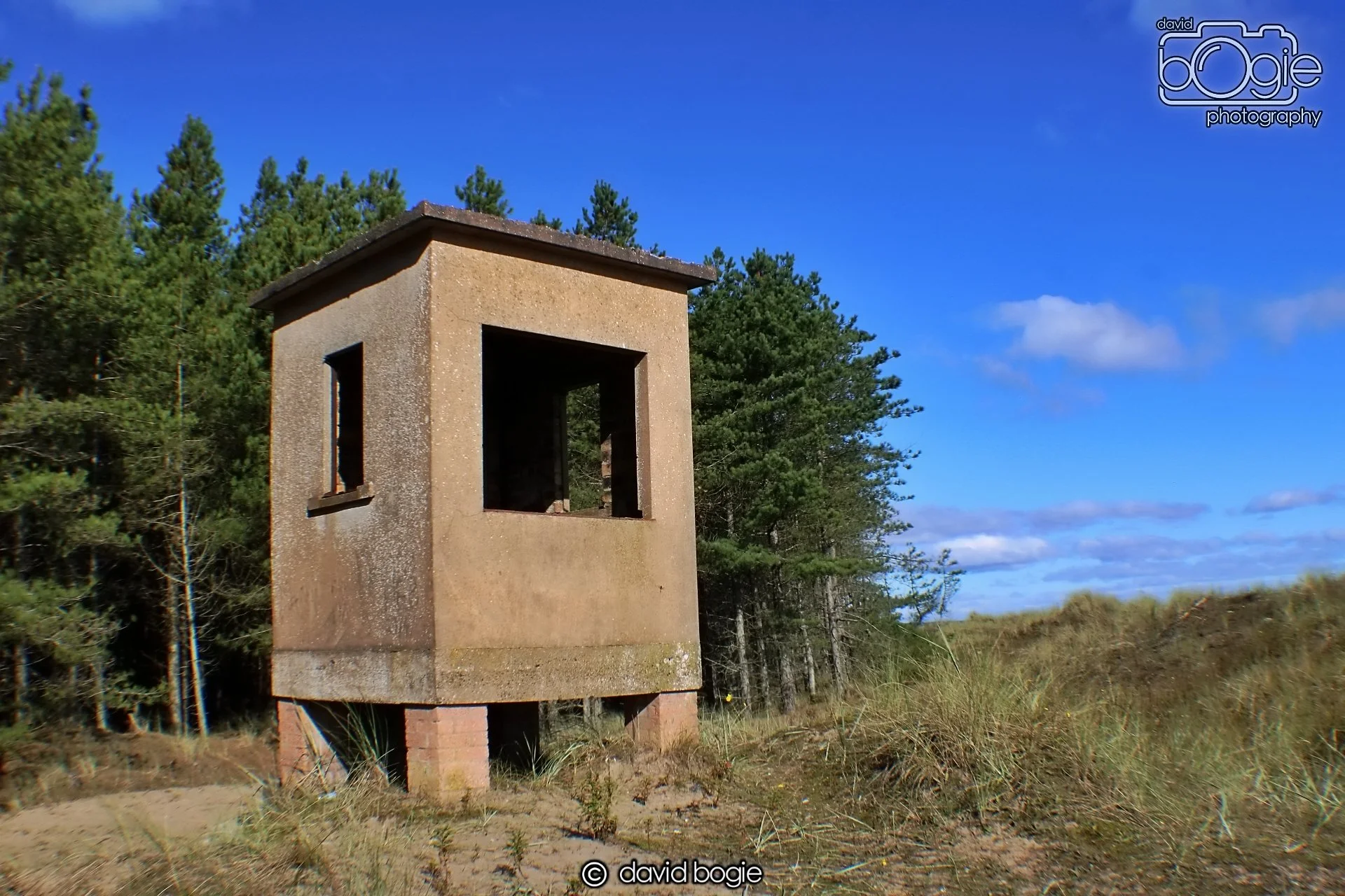 20191002 122134 Tentsmuir 0007.jpg