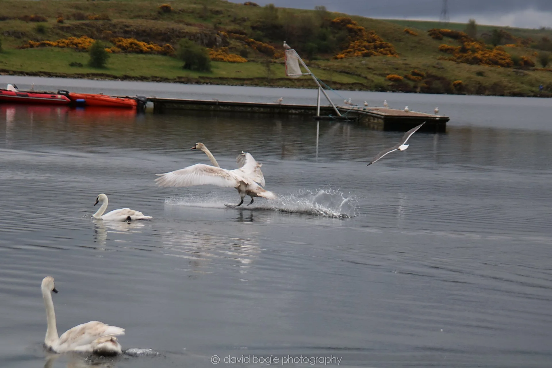 YEAR20220426 Lochore 43.jpg