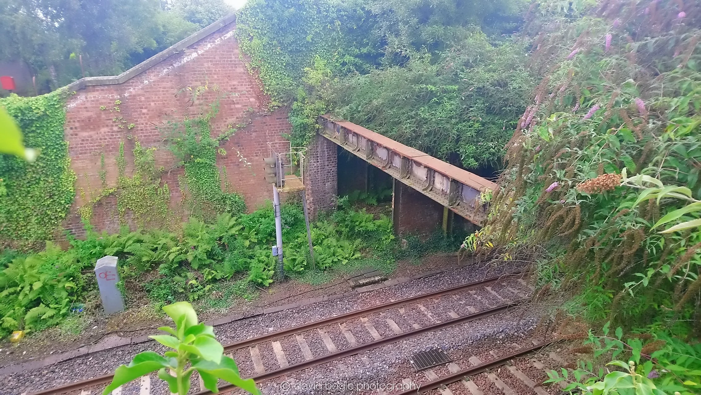 YEAR20180828 110725 Kirkcaldy 0005.jpg