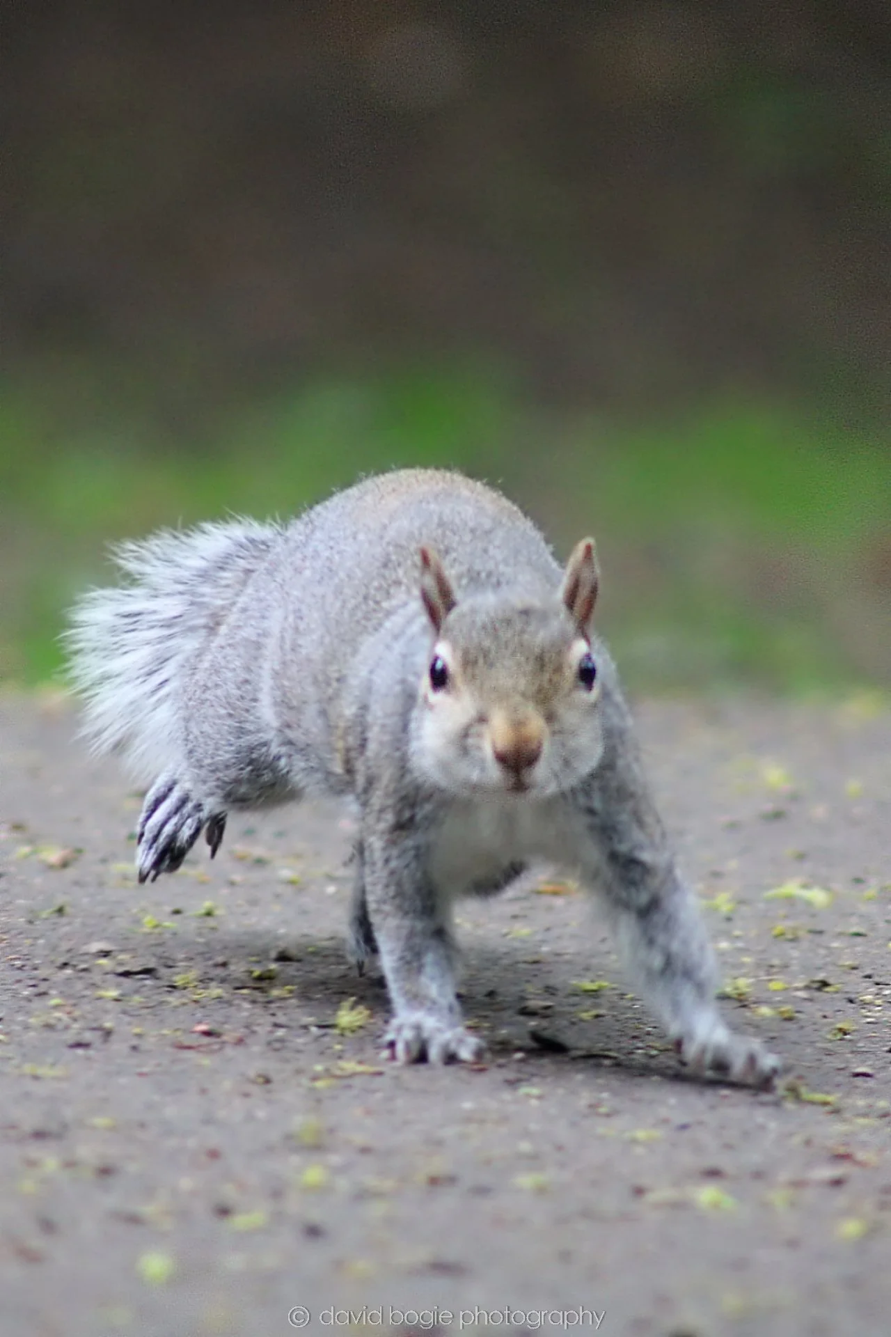 20190523 170301 Ravenscraig 0021.jpg
