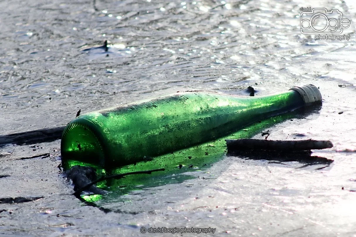 20260103 110208 Beveridge Park 0011.JPG