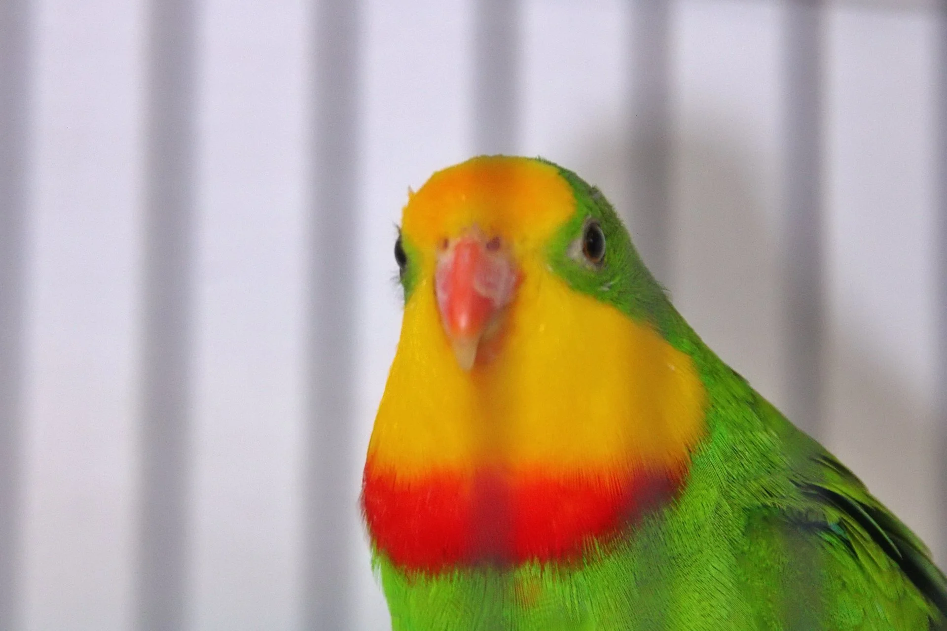 20241103 131037 MCBS Show 0483.JPG