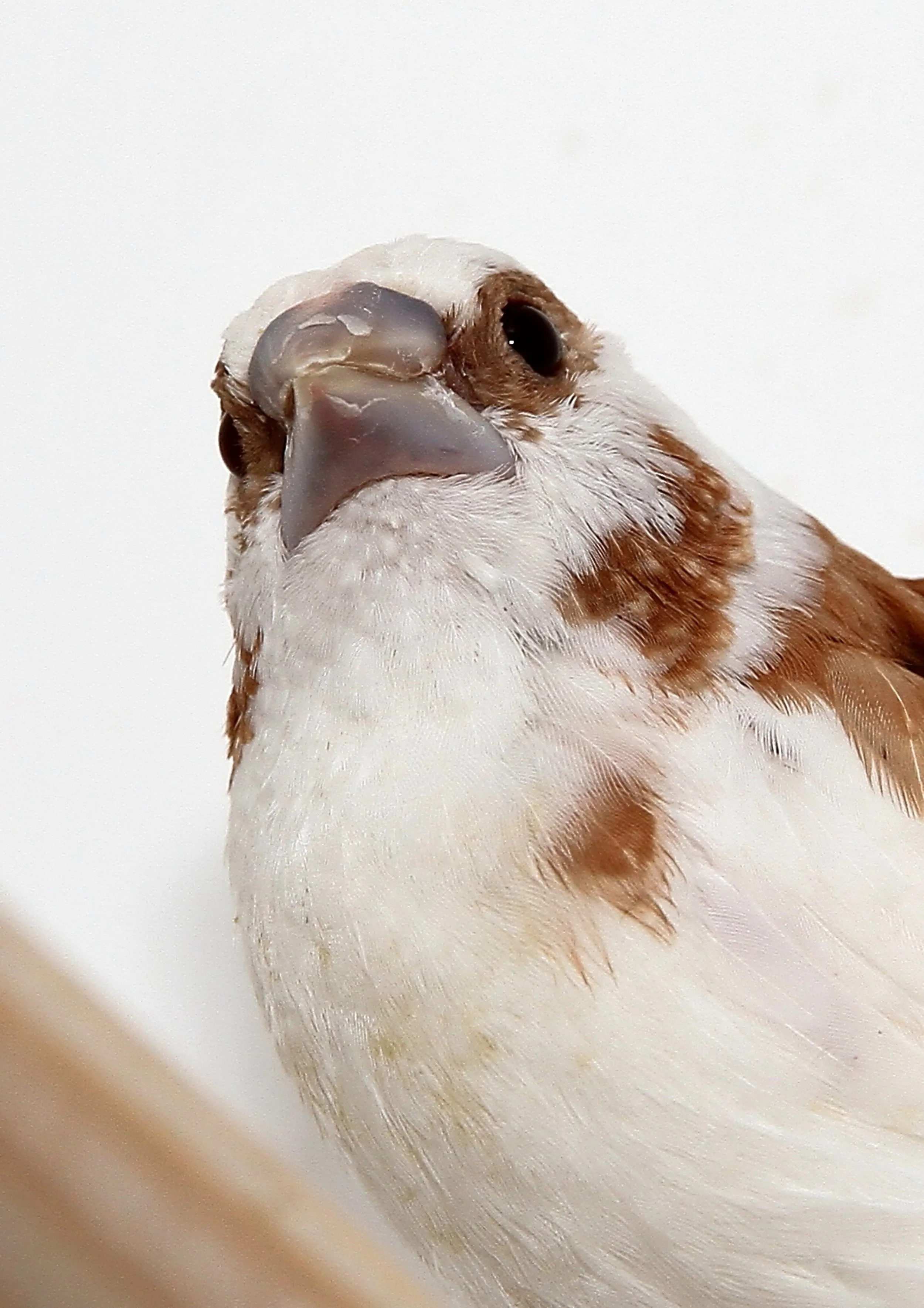 20260331 111855 K&S 0481.jpg