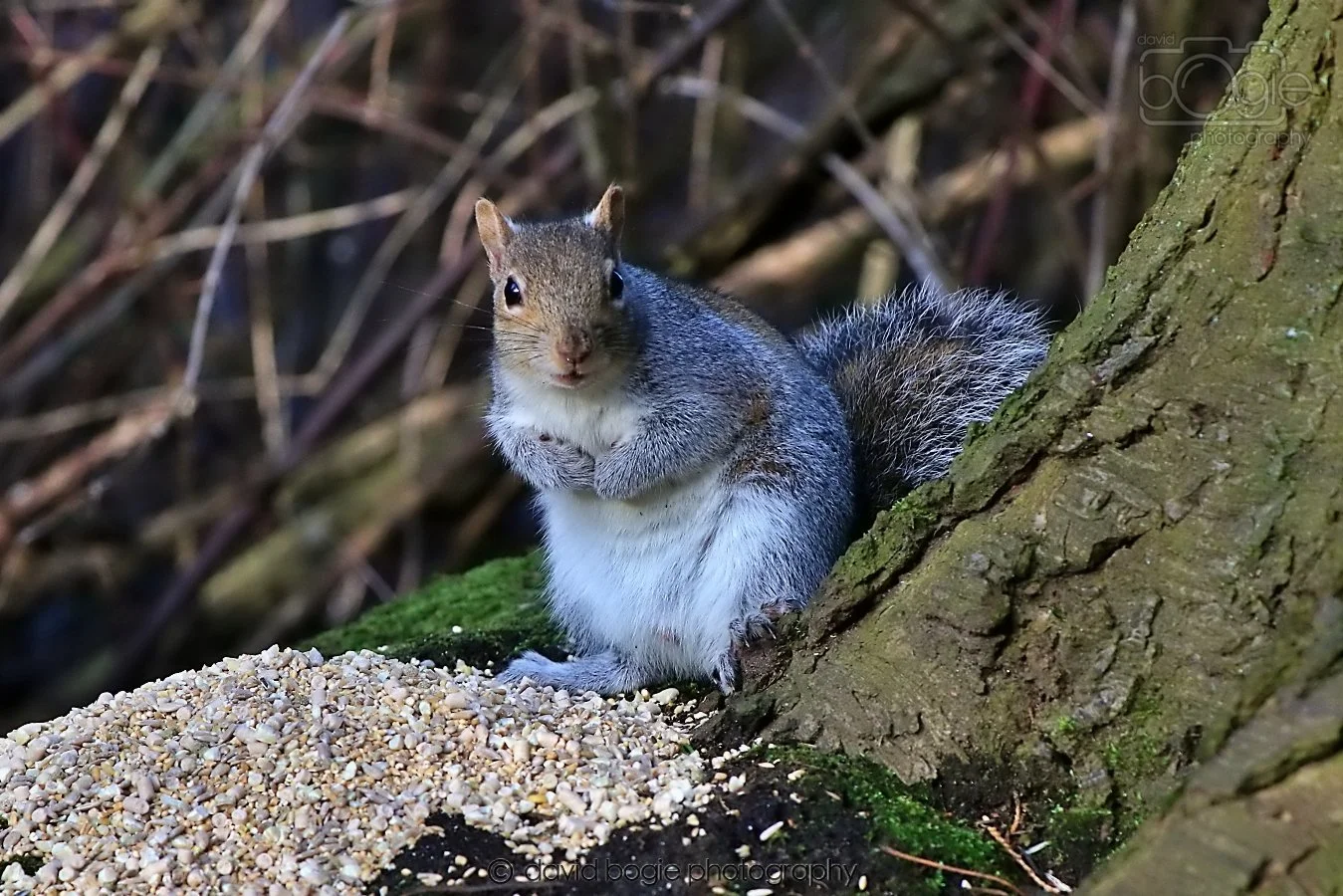 20260128 142628 Dunnikier 0374.jpg