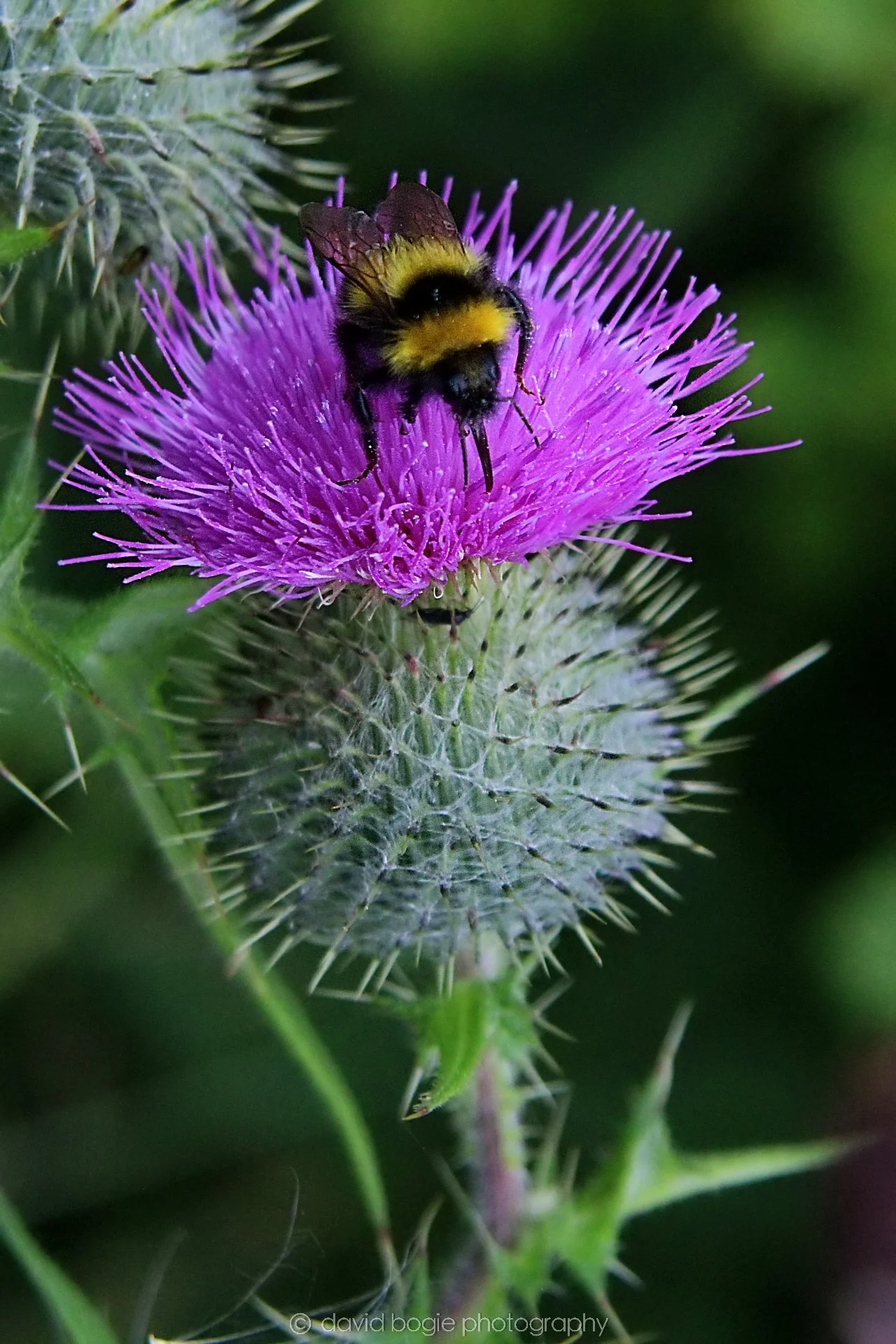 20210729 Lochore 15.jpg