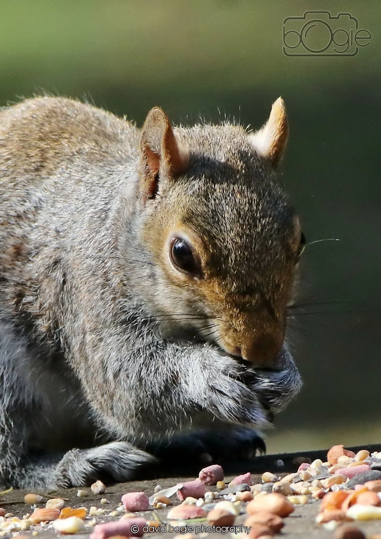 20260402 122825 Ravenscraig 0361.jpg