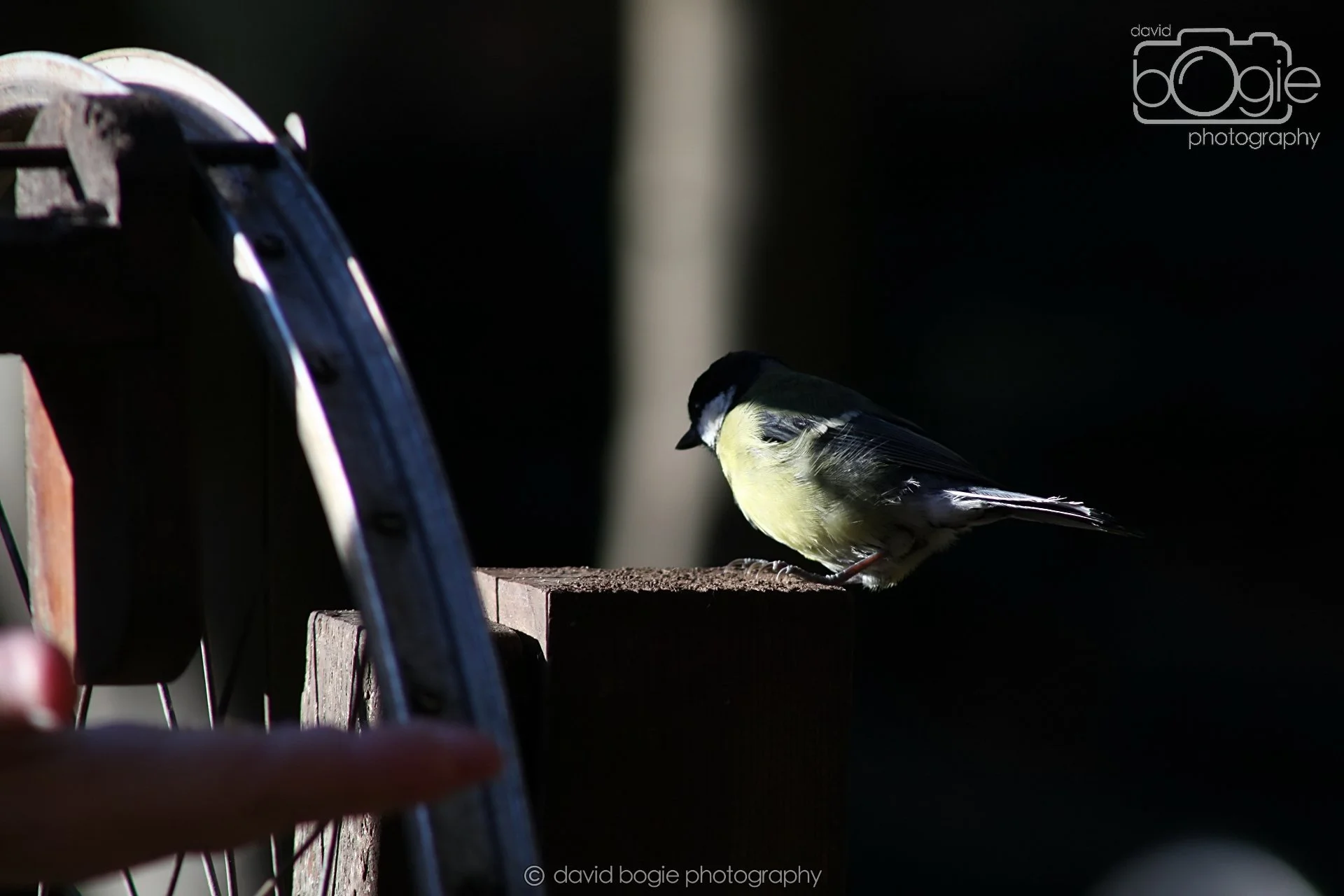 20251125 133524 Silverburn 0083.JPG