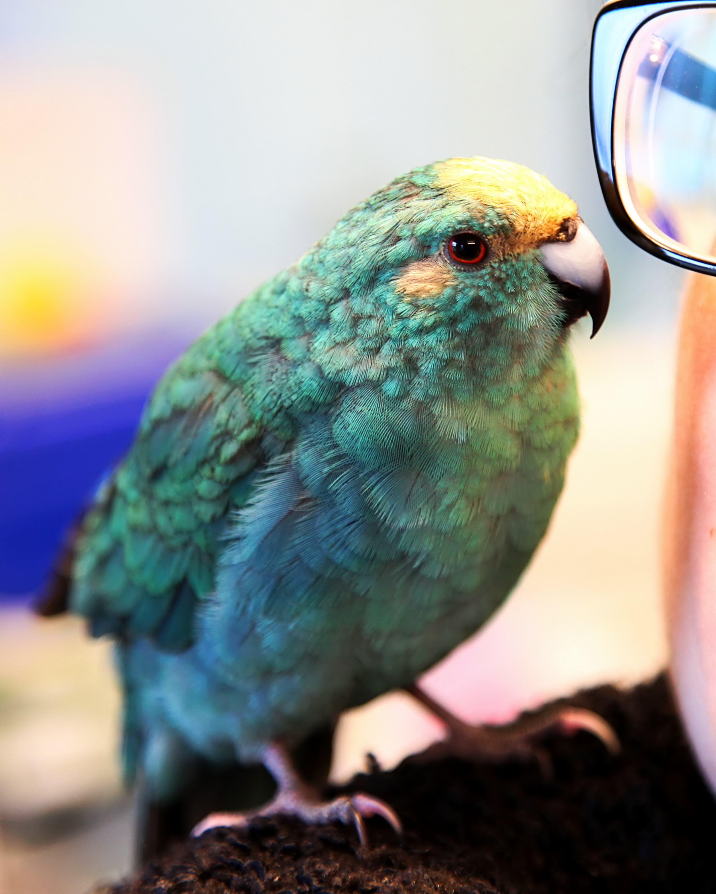 20260212 121622 K&S 0203.png