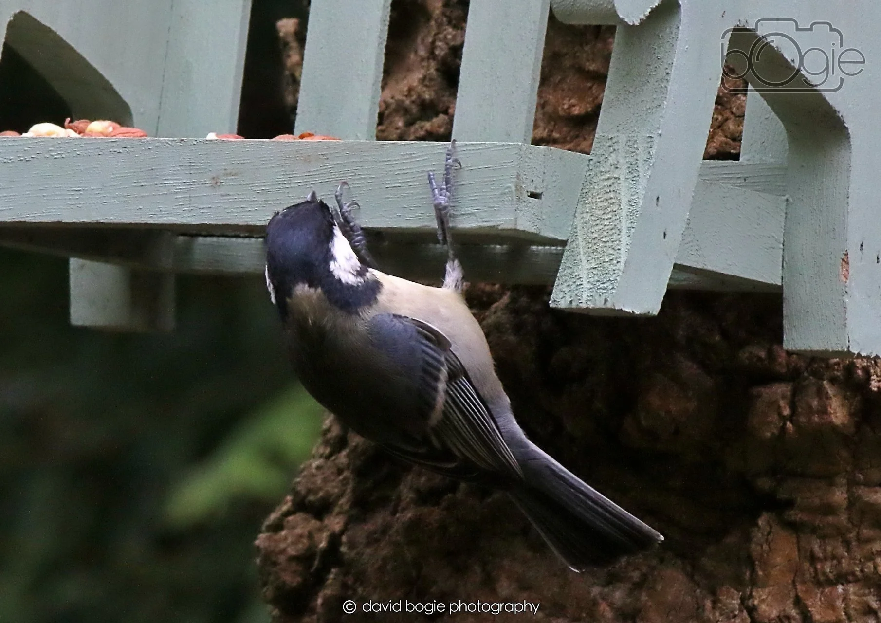 20260403 130203 Dunnikier 0310.jpg