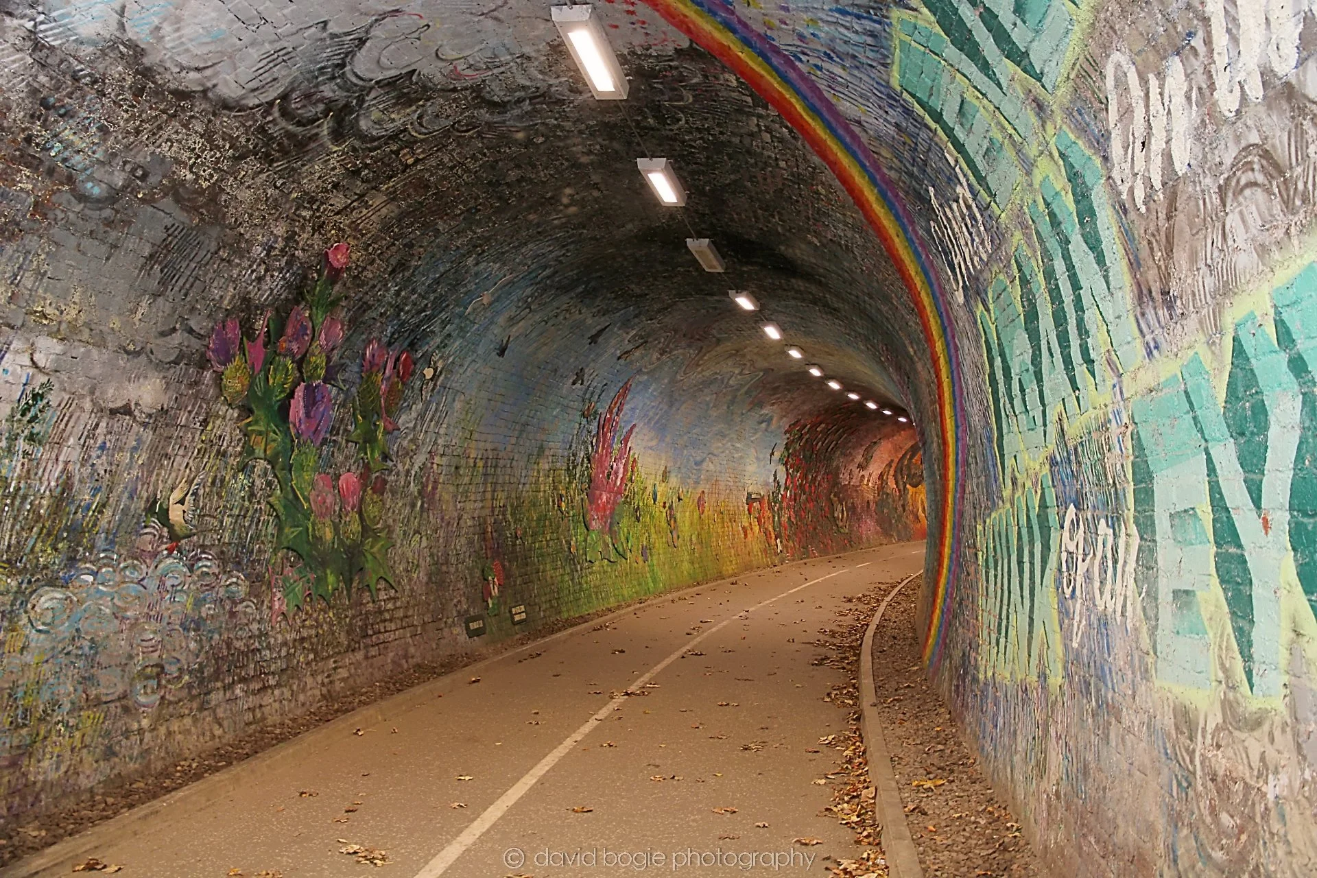 YEAR20221102 142513 Colinton Tunnel 0039.jpg