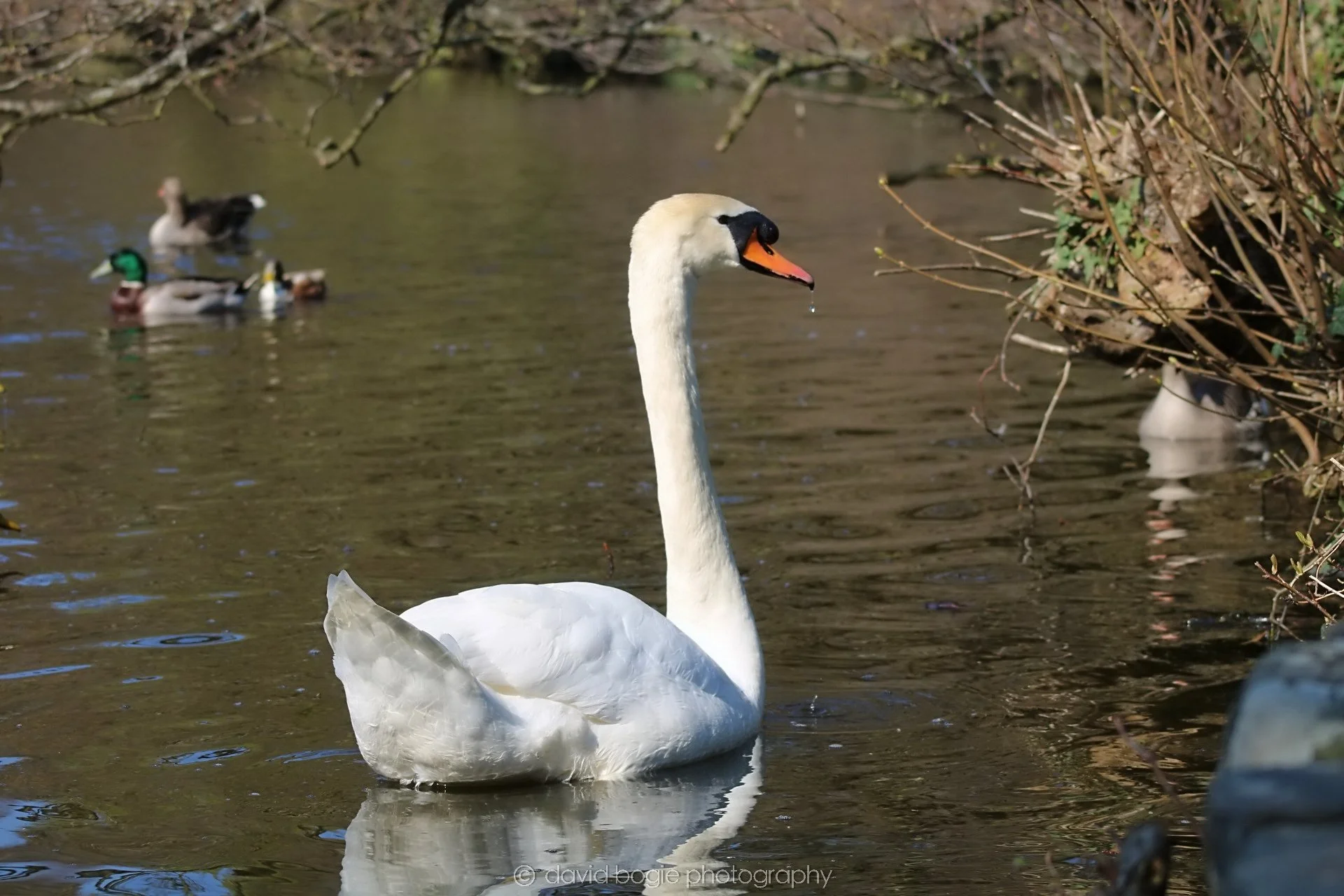 20190411 111653 Otterston 0018.jpg