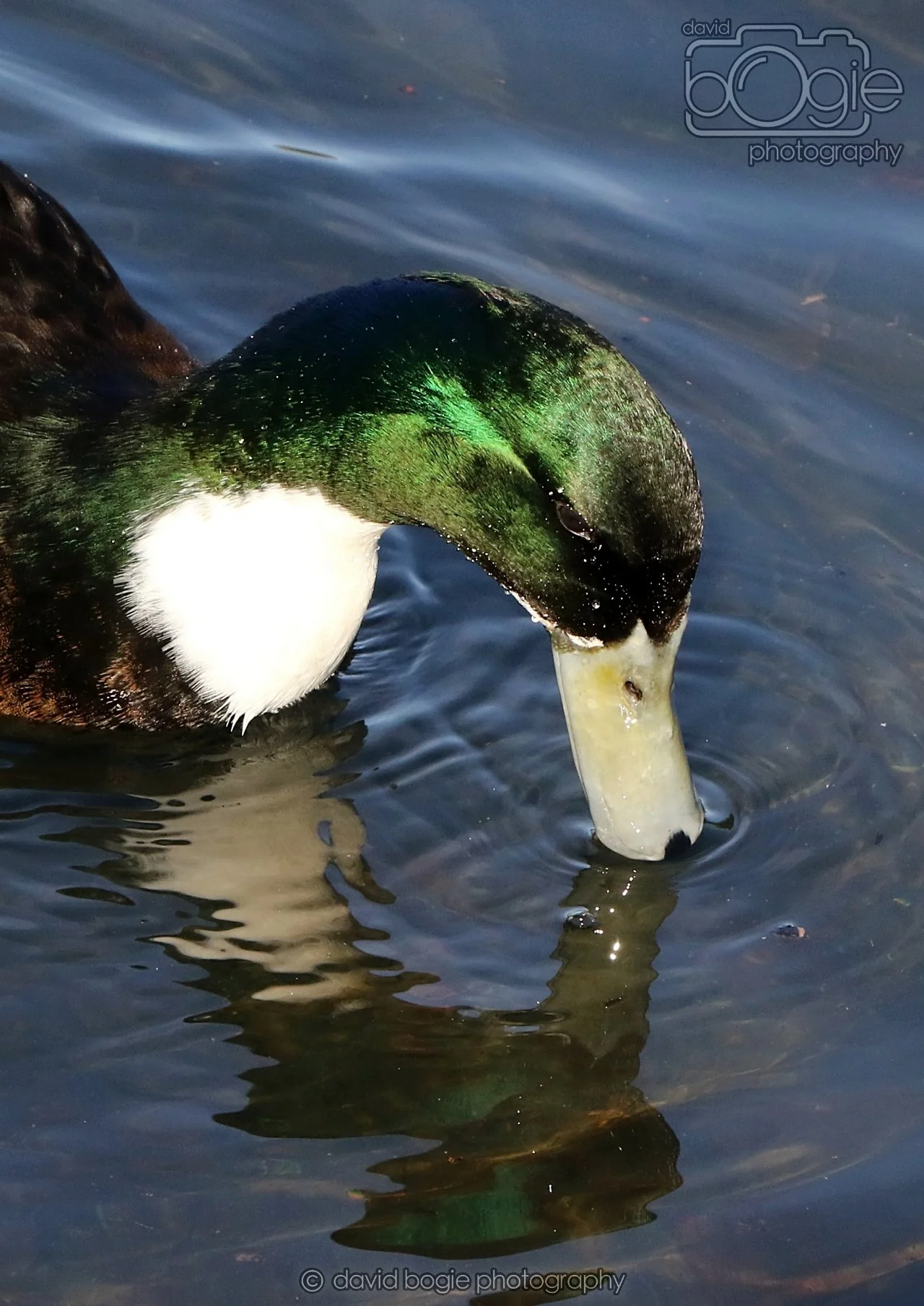 20260319 112853 Beveridge Park 0036.jpg