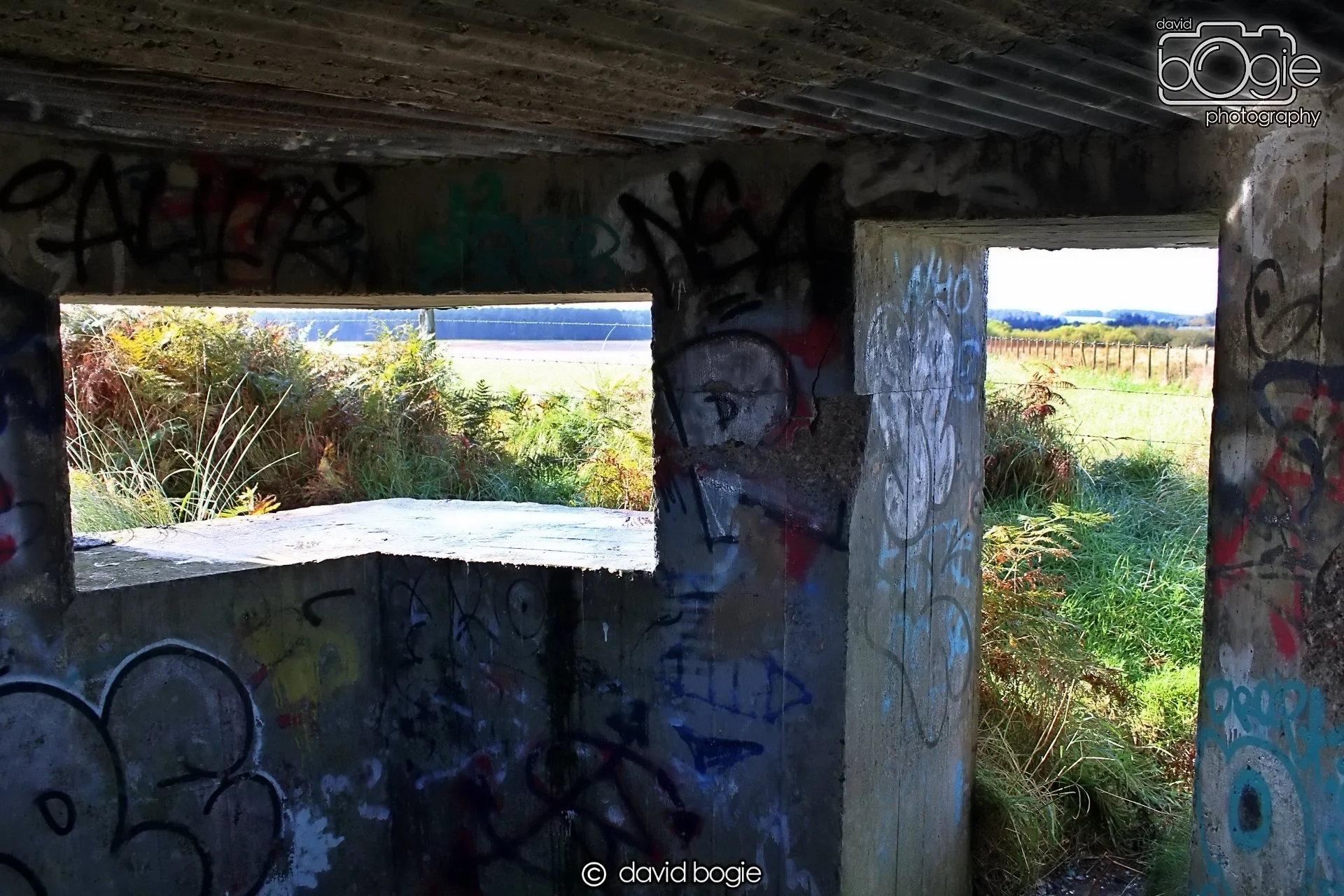 20191014 115610 Tentsmuir 0030.JPG