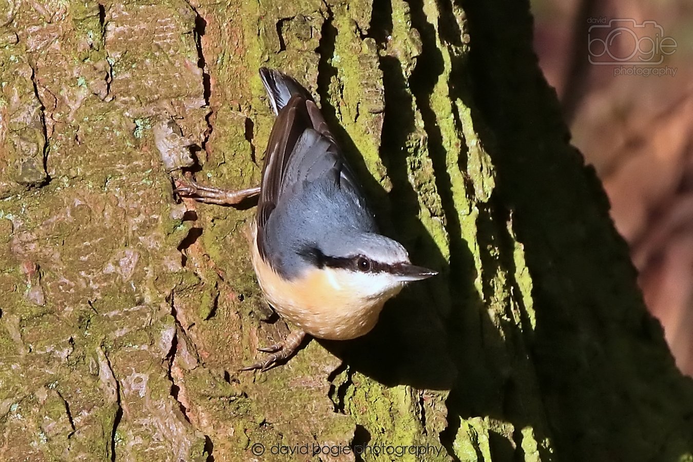 20260128 132745 Dunnikier 0198.jpg