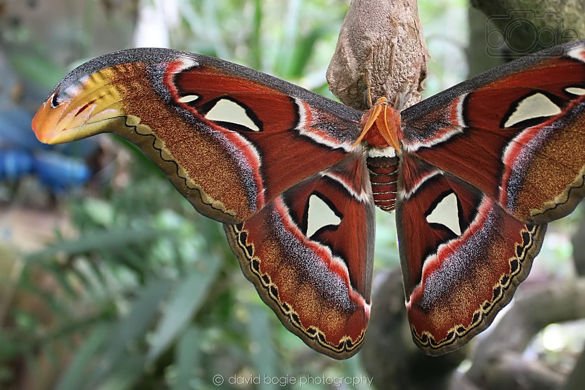 20191019 125928 Butterfly World 0031.jpg