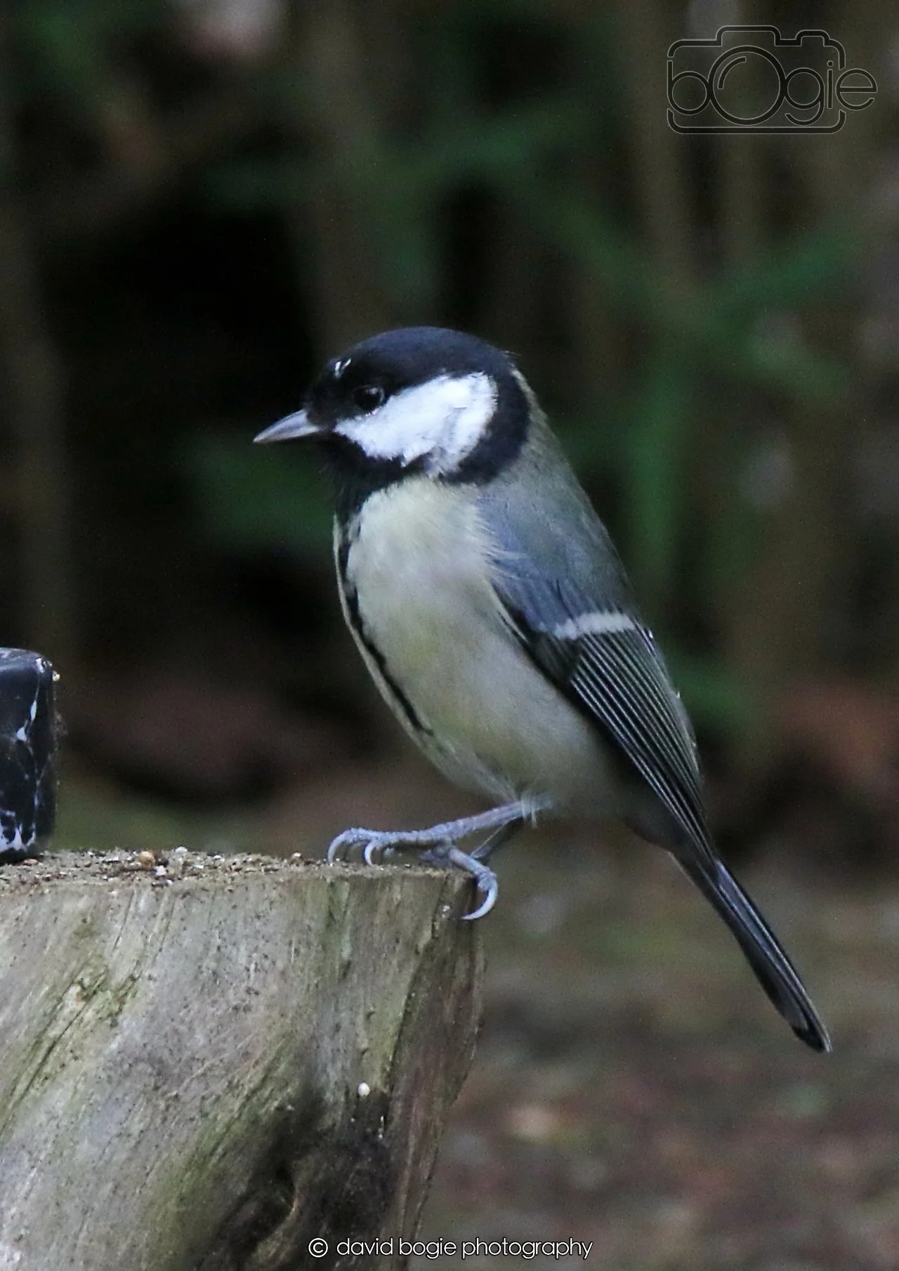 20260403 130107 Dunnikier 0267.jpg